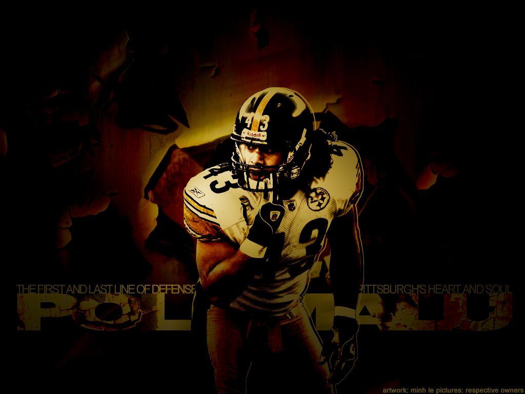 Troy polamalu hires stock photography and images  Alamy