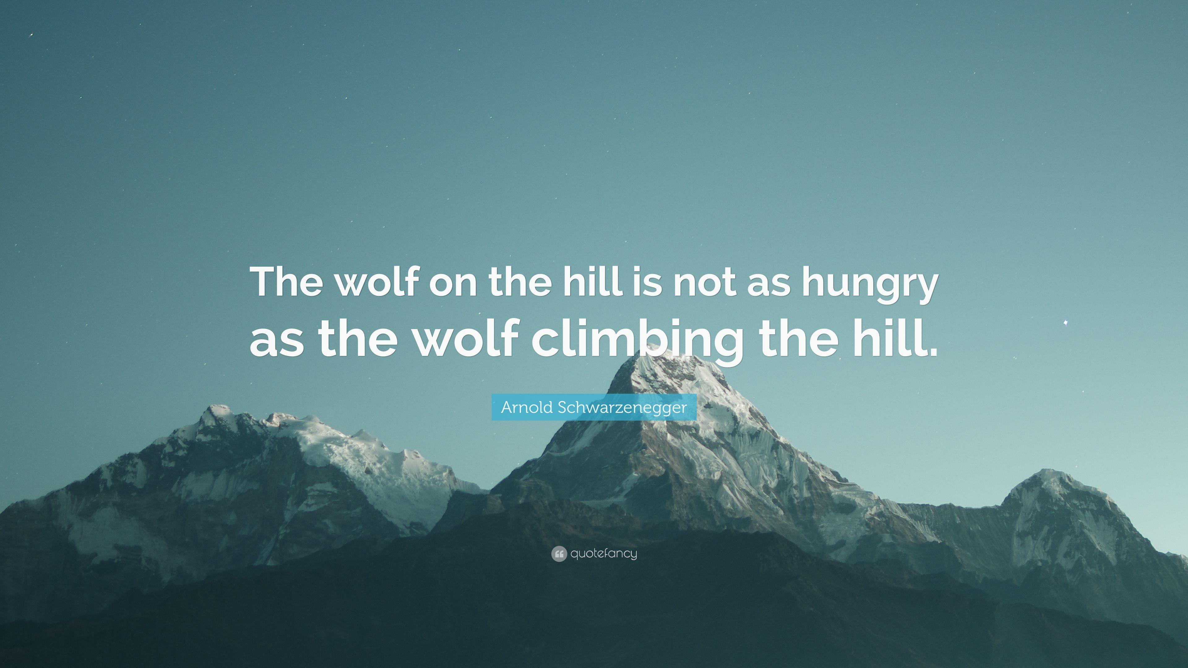 Arnold Schwarzenegger Quote: “The wolf on the hill is not as hungry