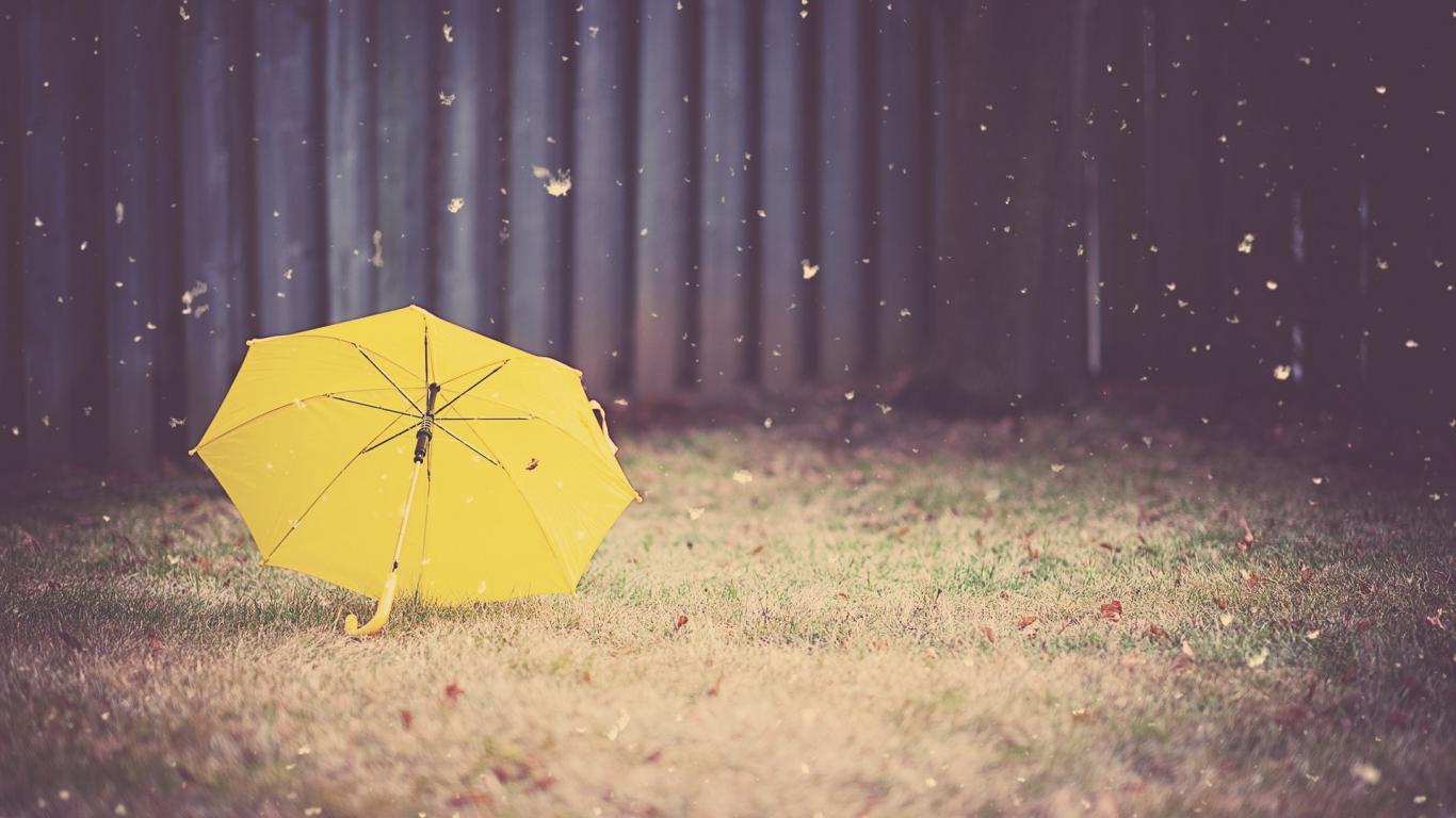 Gallery For > Umbrella Wallpaper