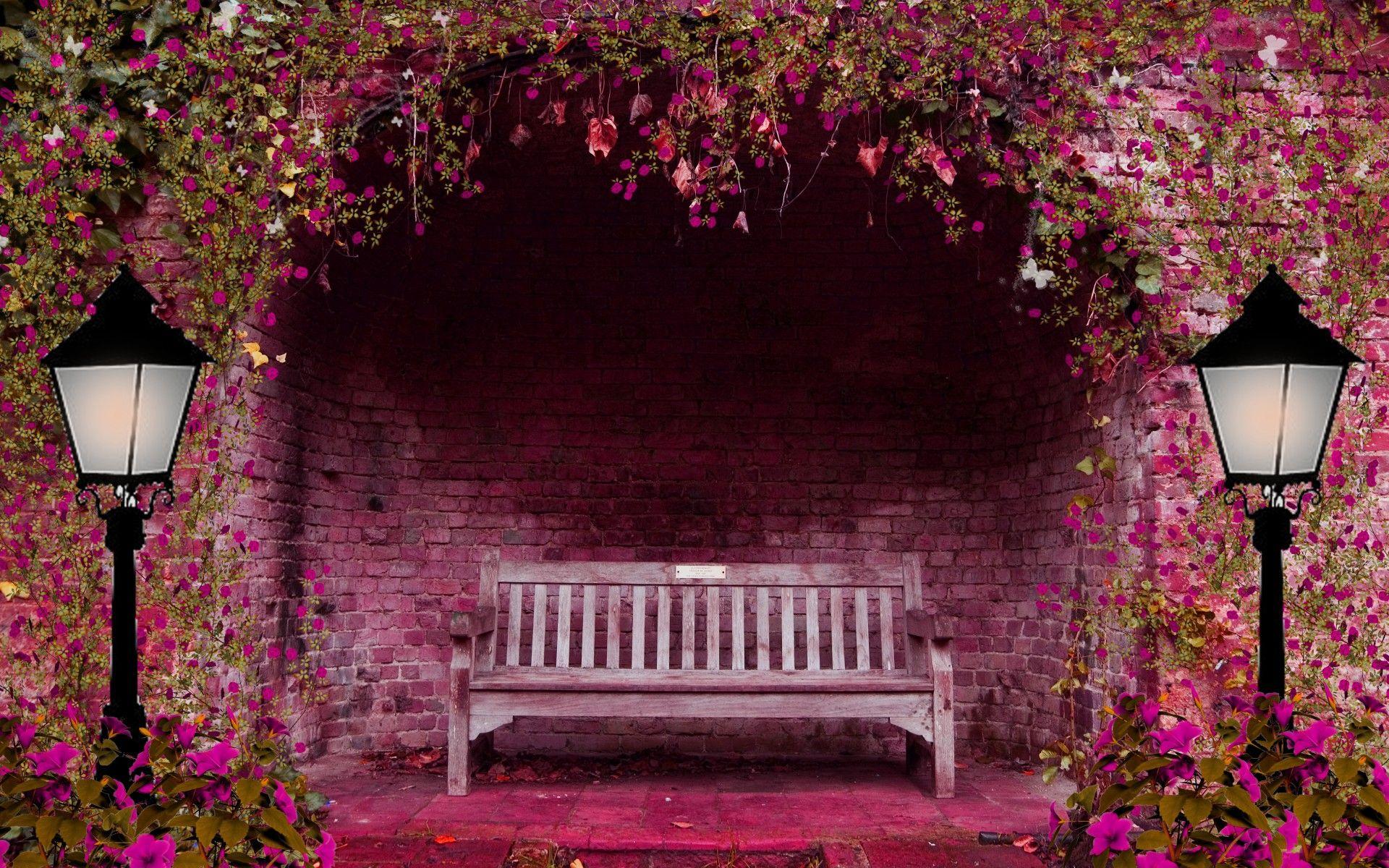 Bench and Pink Flowers Full HD Wallpaper