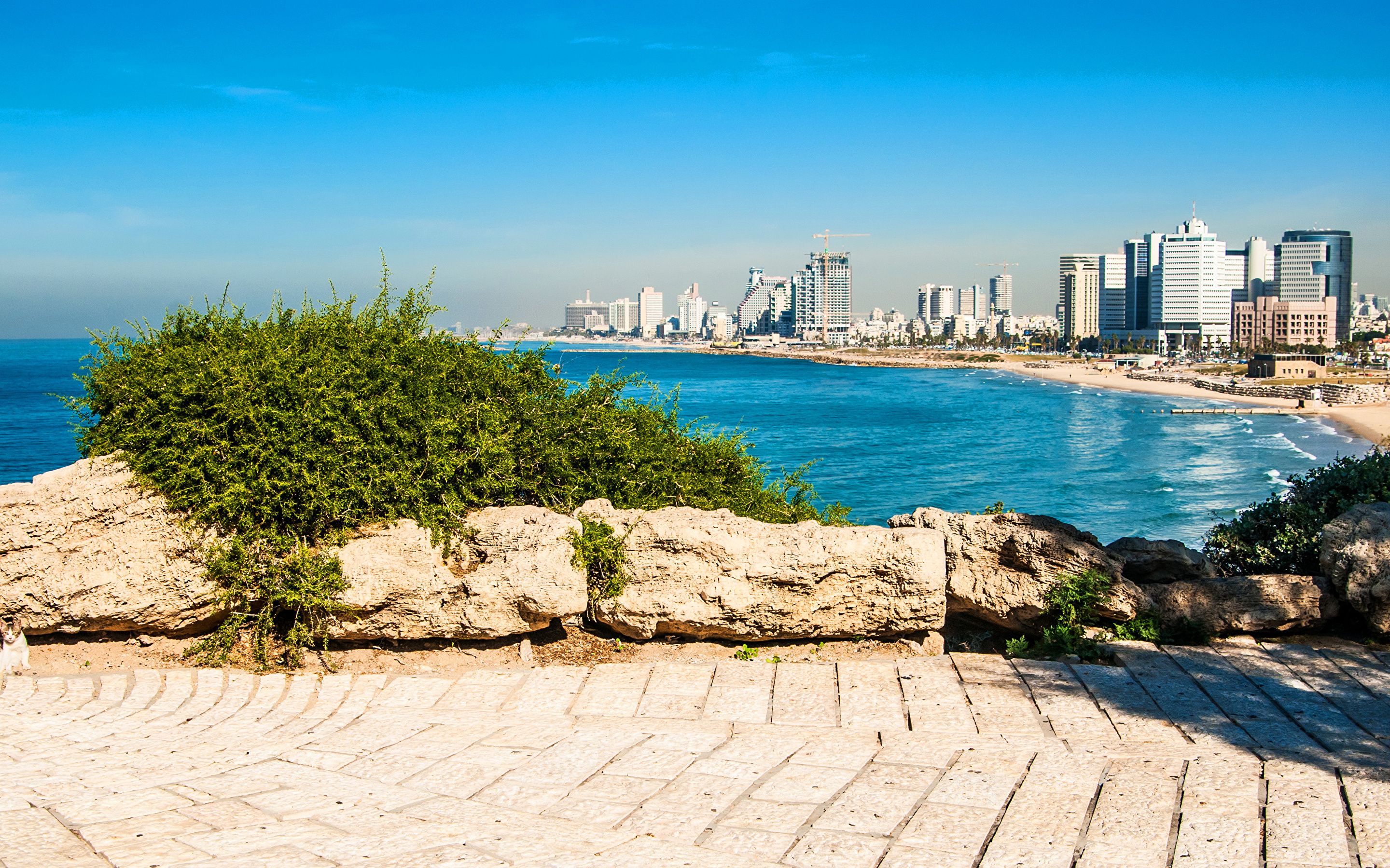 Picture Israel Tel Aviv Sea Cities Houses 2880x1800