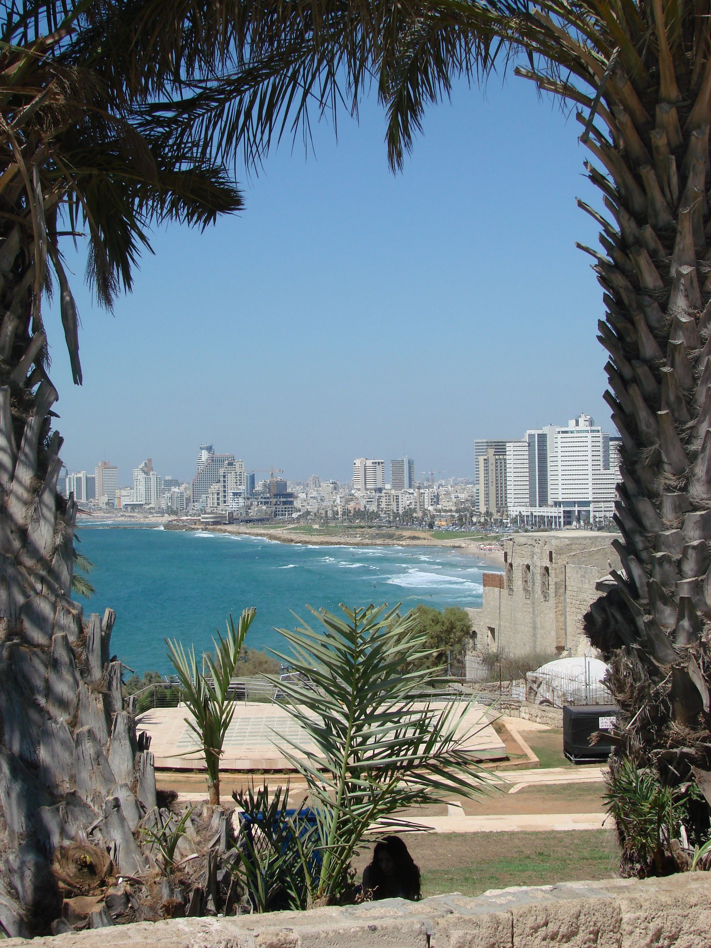 Tel Aviv Musts. Tel aviv israel, Tel aviv and Israel