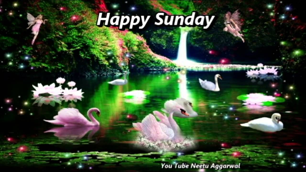 Happy Sunday Wishes, Greetings, E Card, Wallpaper, Whatsapp Video