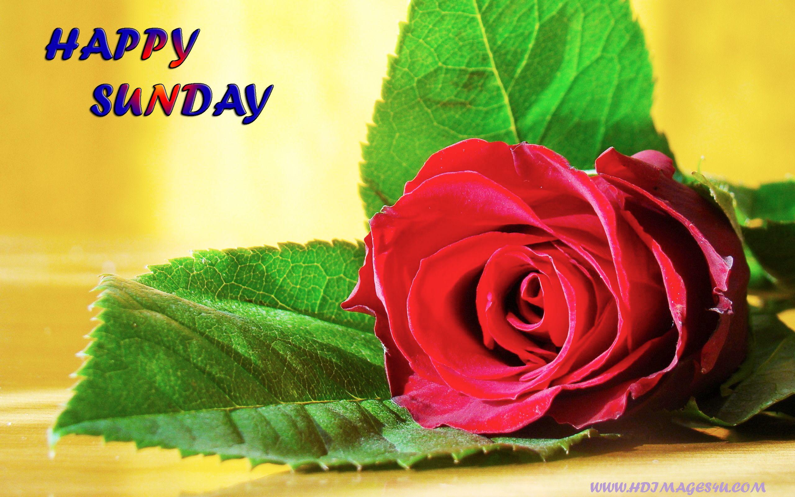 happy sunday greeting. sekspic.com: Free image hosting script