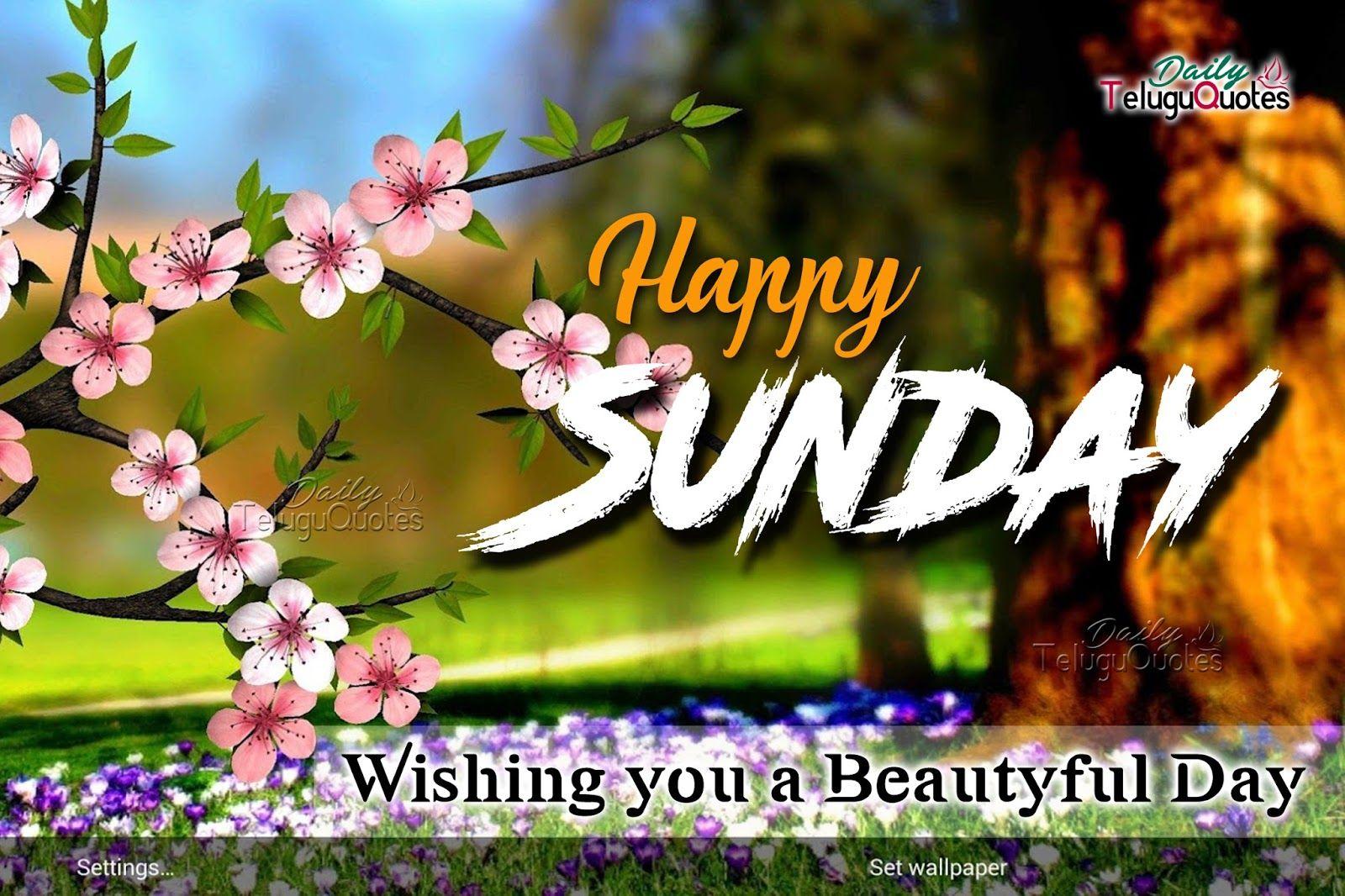 Happy Sunday Quotes and sayings HD wallpaper