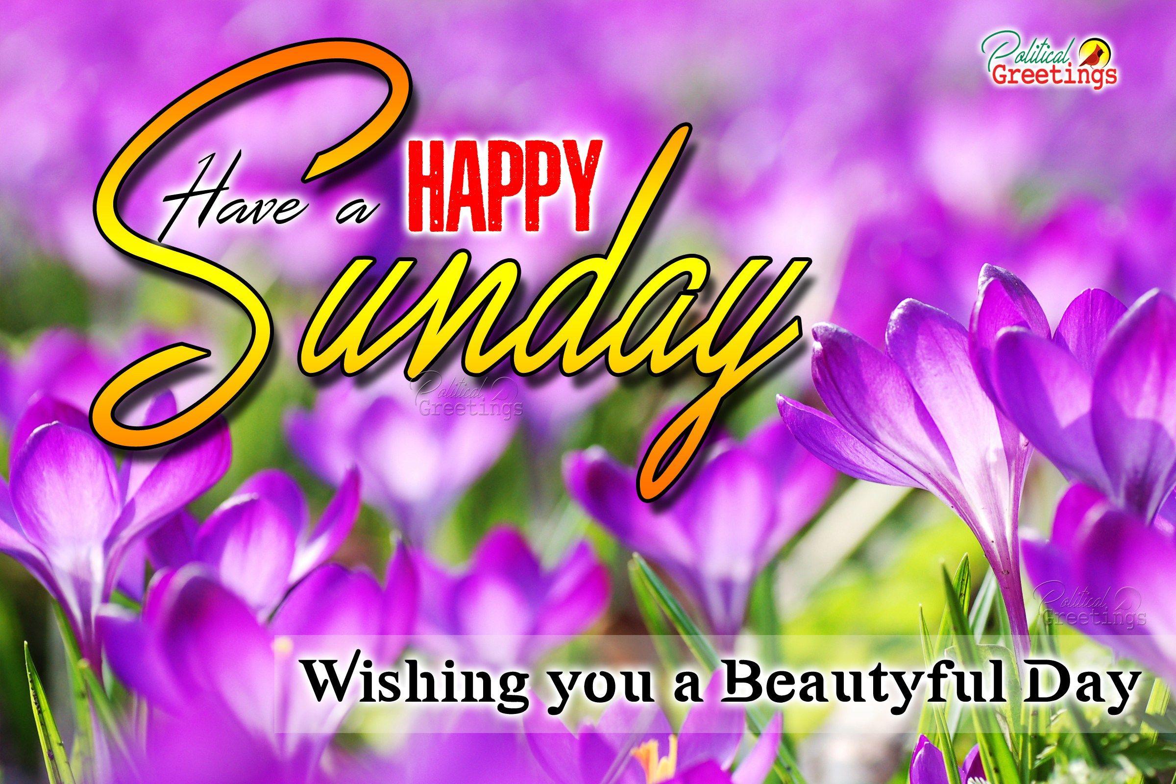 Have A Happy Sunday quotes wishes greetings Picture photo image