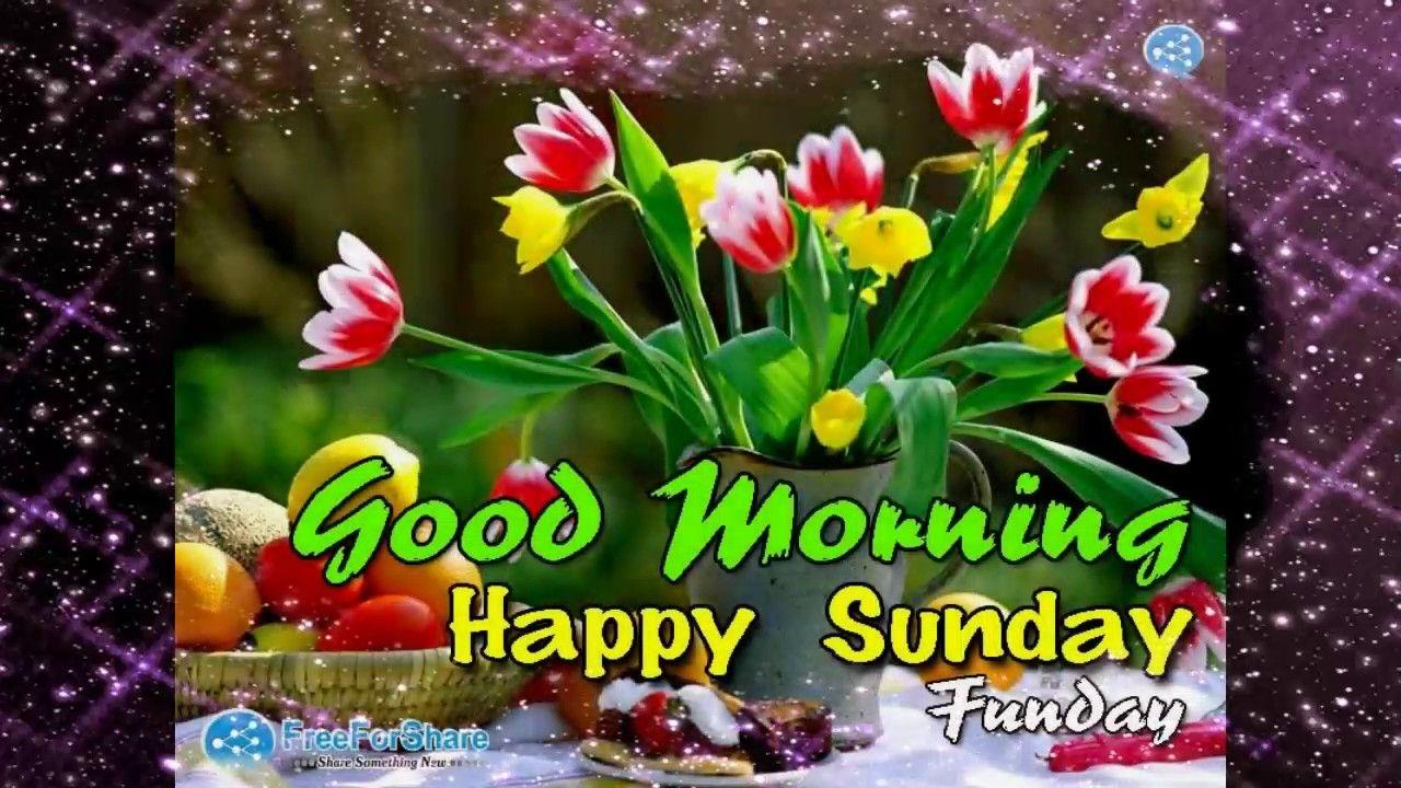 Happy Sunday Video Photo, Happy Sunday Video SMS, Happy Sunday