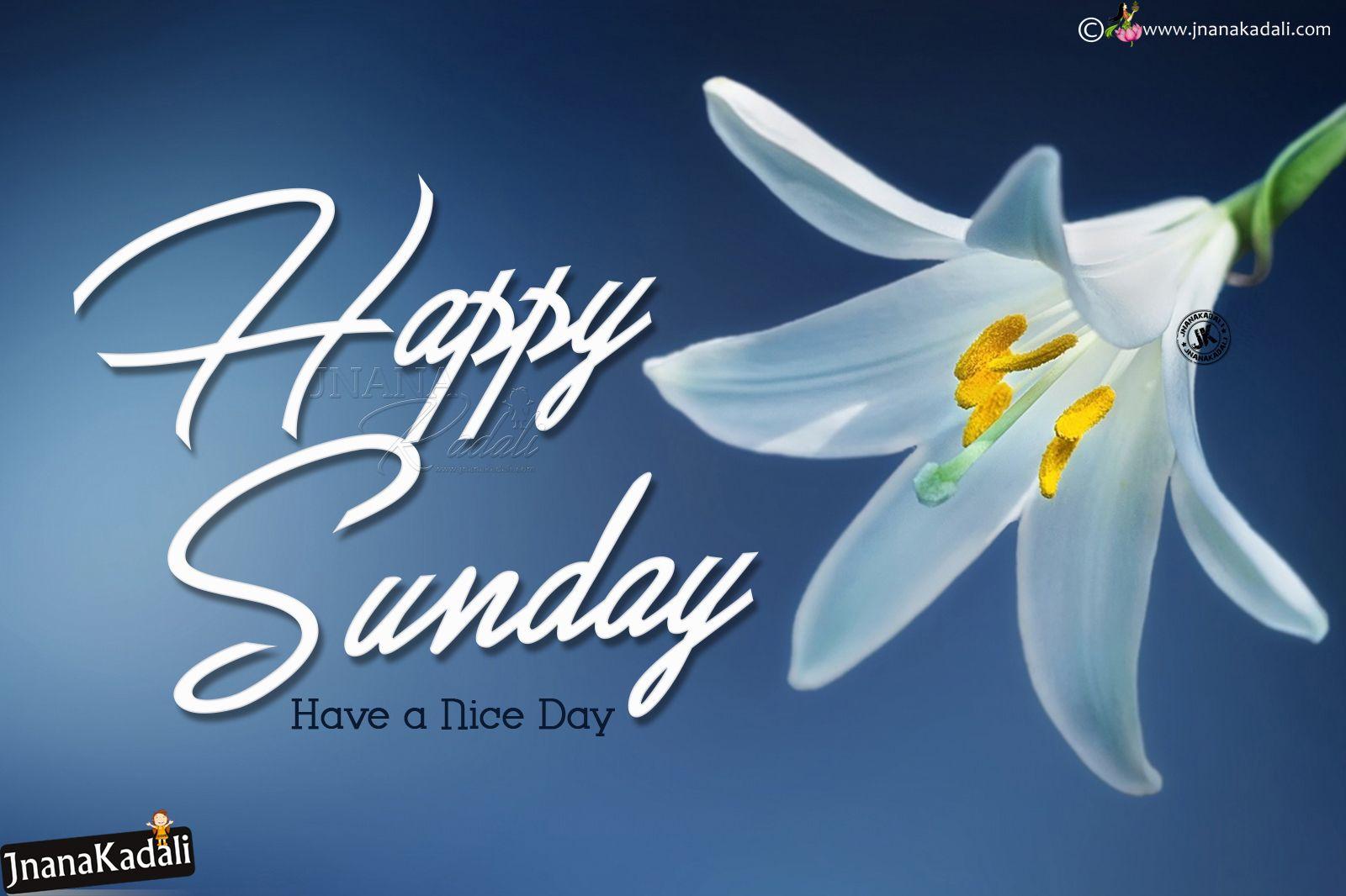Happy Sunday Greetings With HD Wallpaper In English English Happy