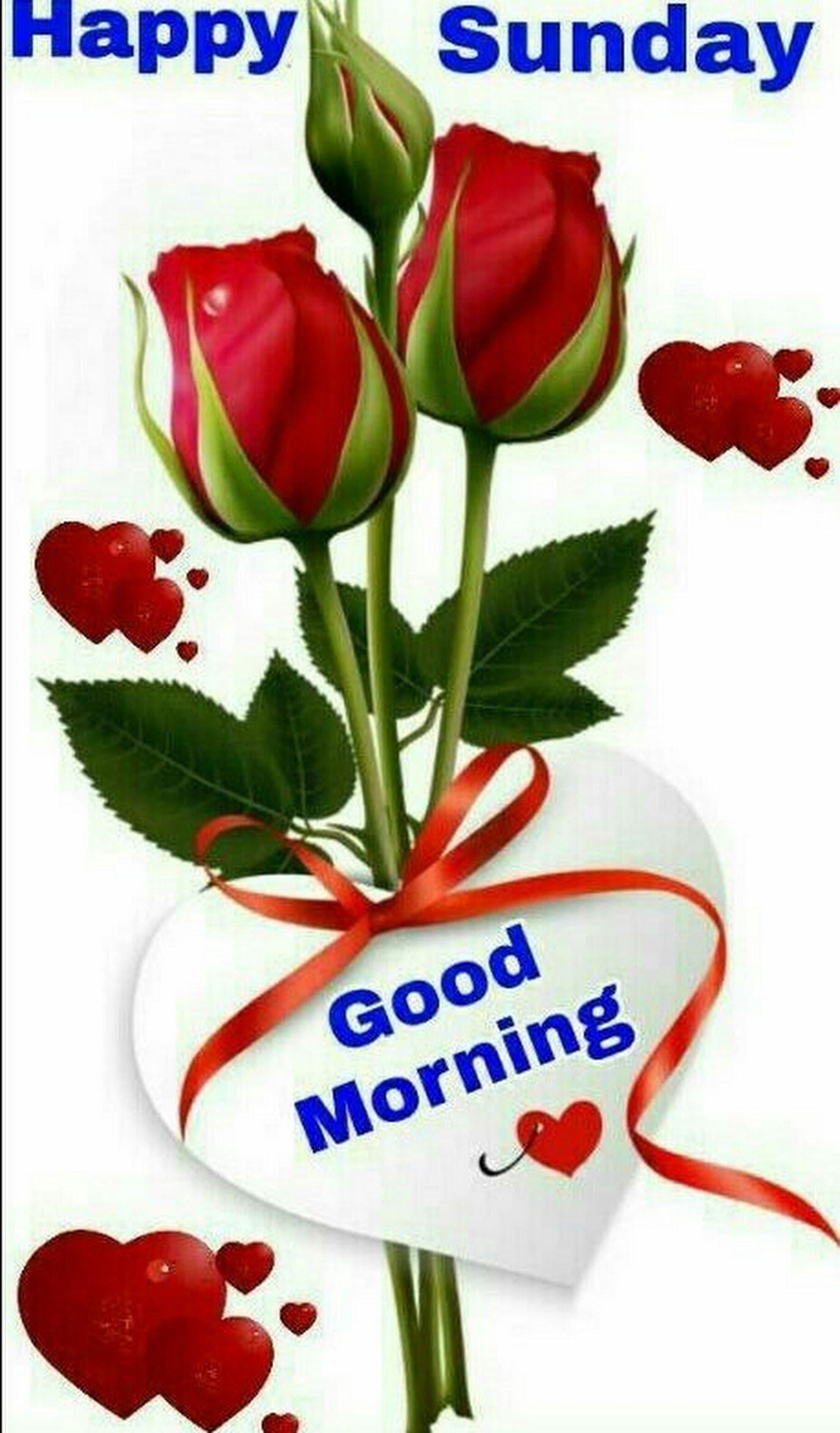 Good morning FRIEND S Have a happy Sunday Roy+
