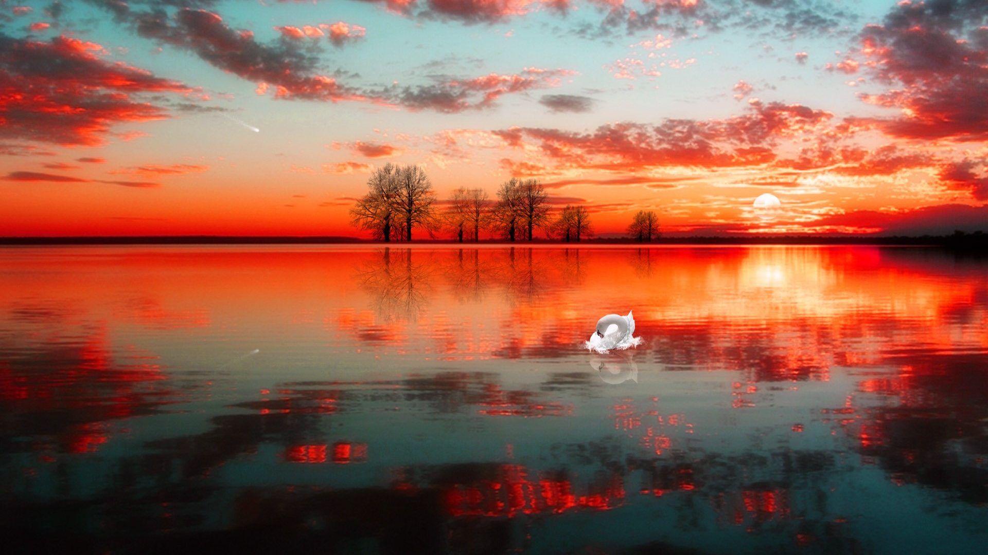 Sunset: Dusk Lake Swan Nature Sunset Macbook Wallpaper for HD 16:9
