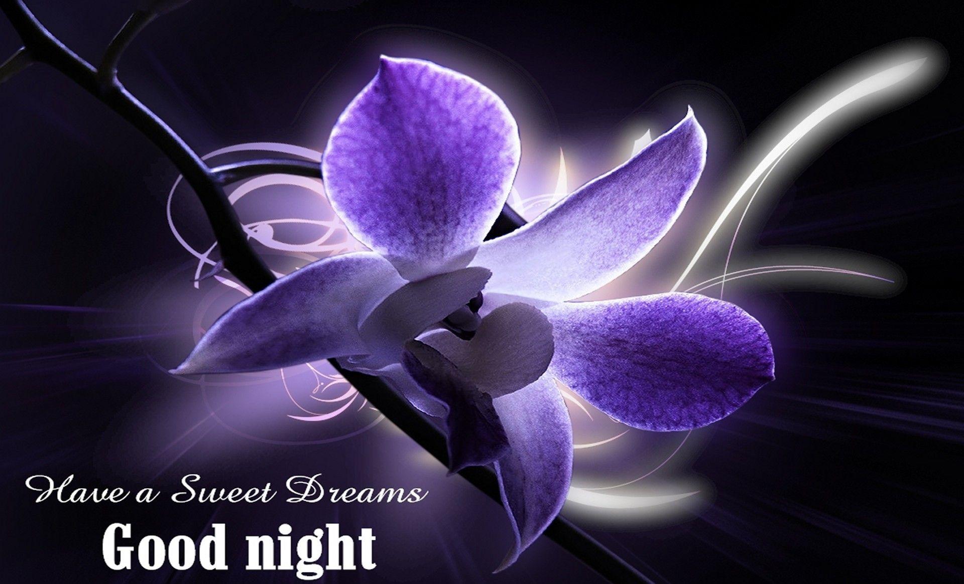 Download free good night sweet dreams wallpaper for Whats app