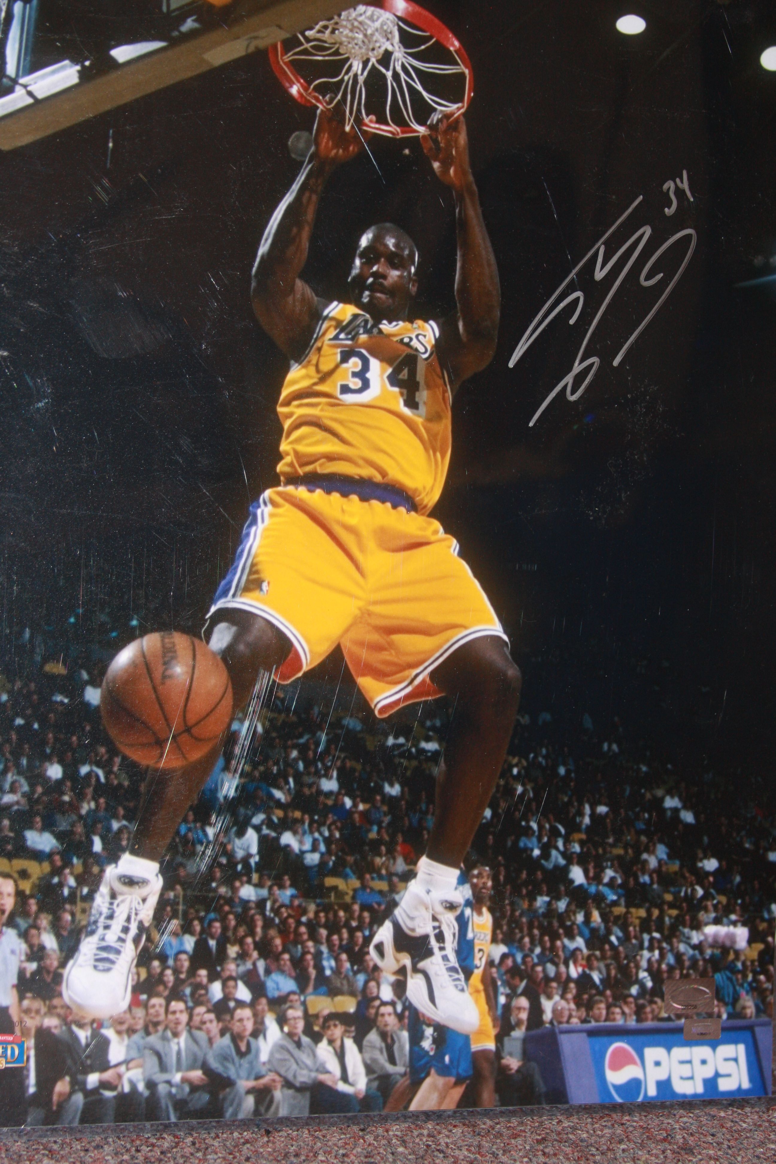 Shaquille Oneal Dunk. The Art Mad