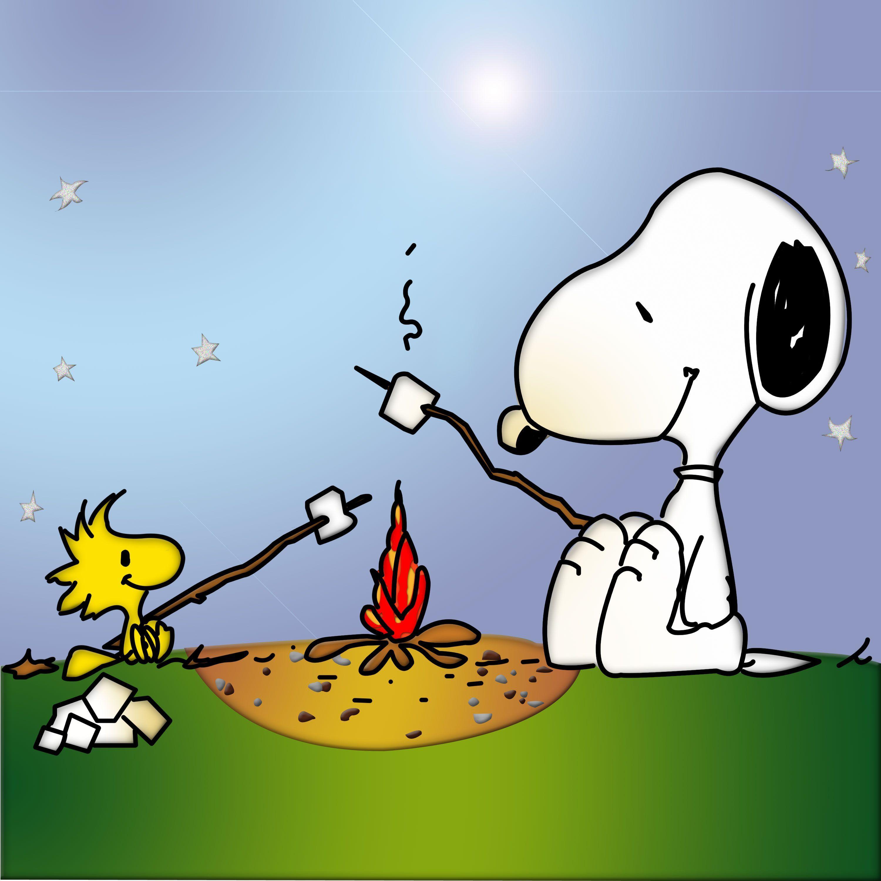 Snoopy and Woodstock. Snoopy Woodstock by the Campfile. Peanuts