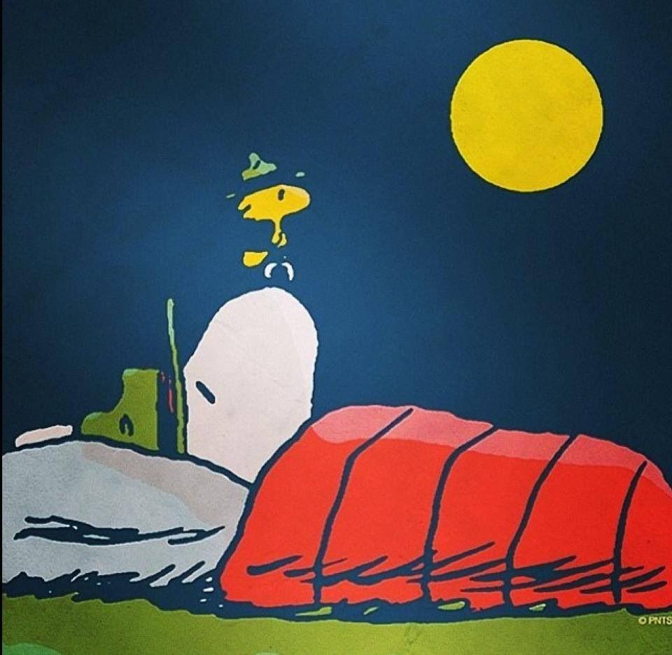Camping out. Peanuts!!!. Snoopy, Peanuts gang