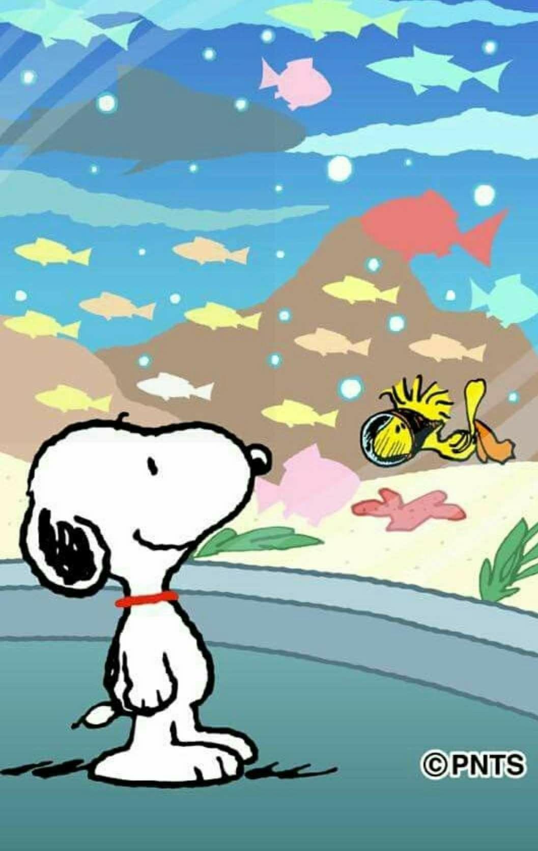 Snoopy. Charlie Brown Peanuts. Snoopy, Charlie Brown