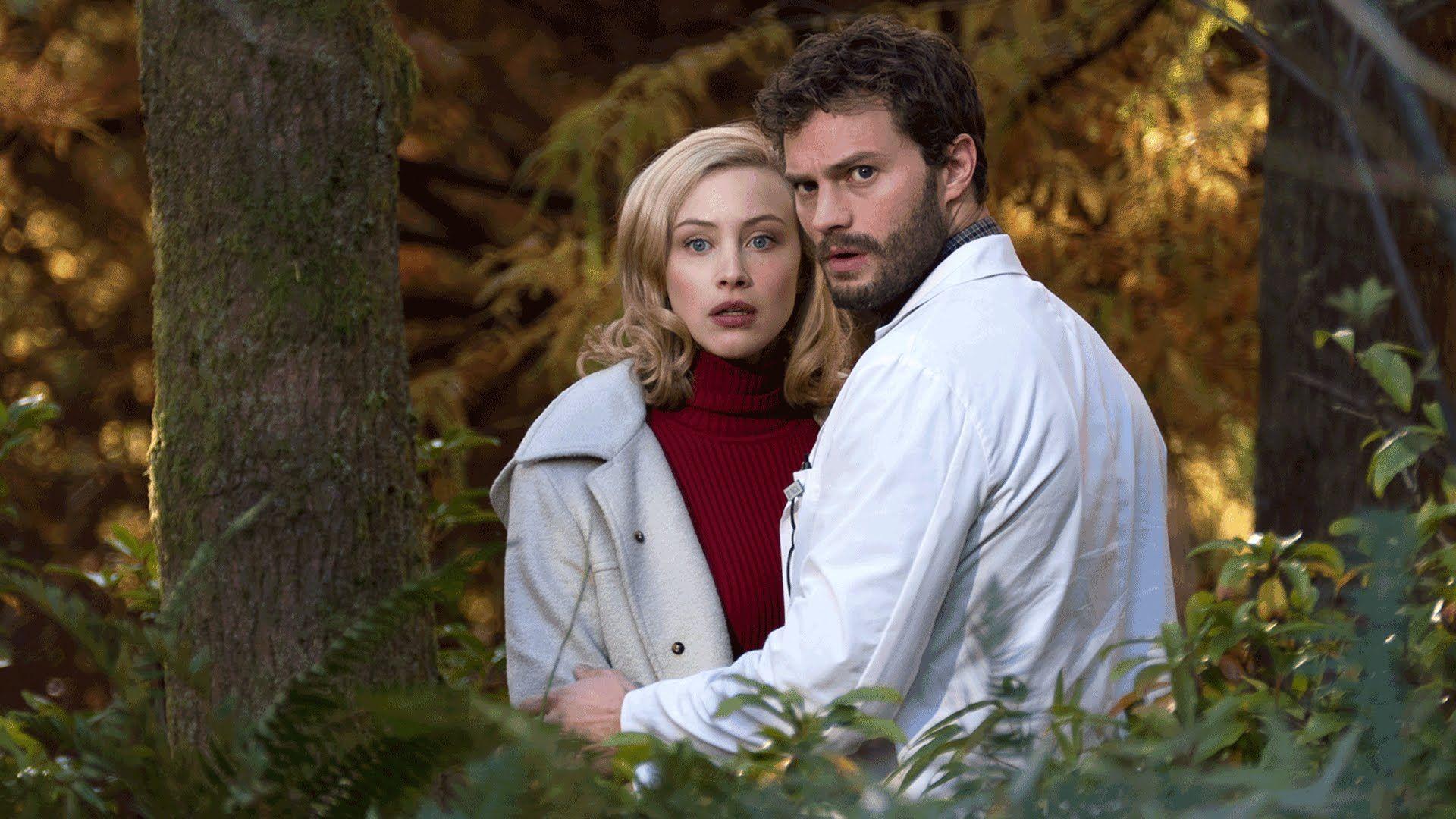 The 9th Life Of Louis Drax Jamie Dornan Sarah Gadon Wallpaper