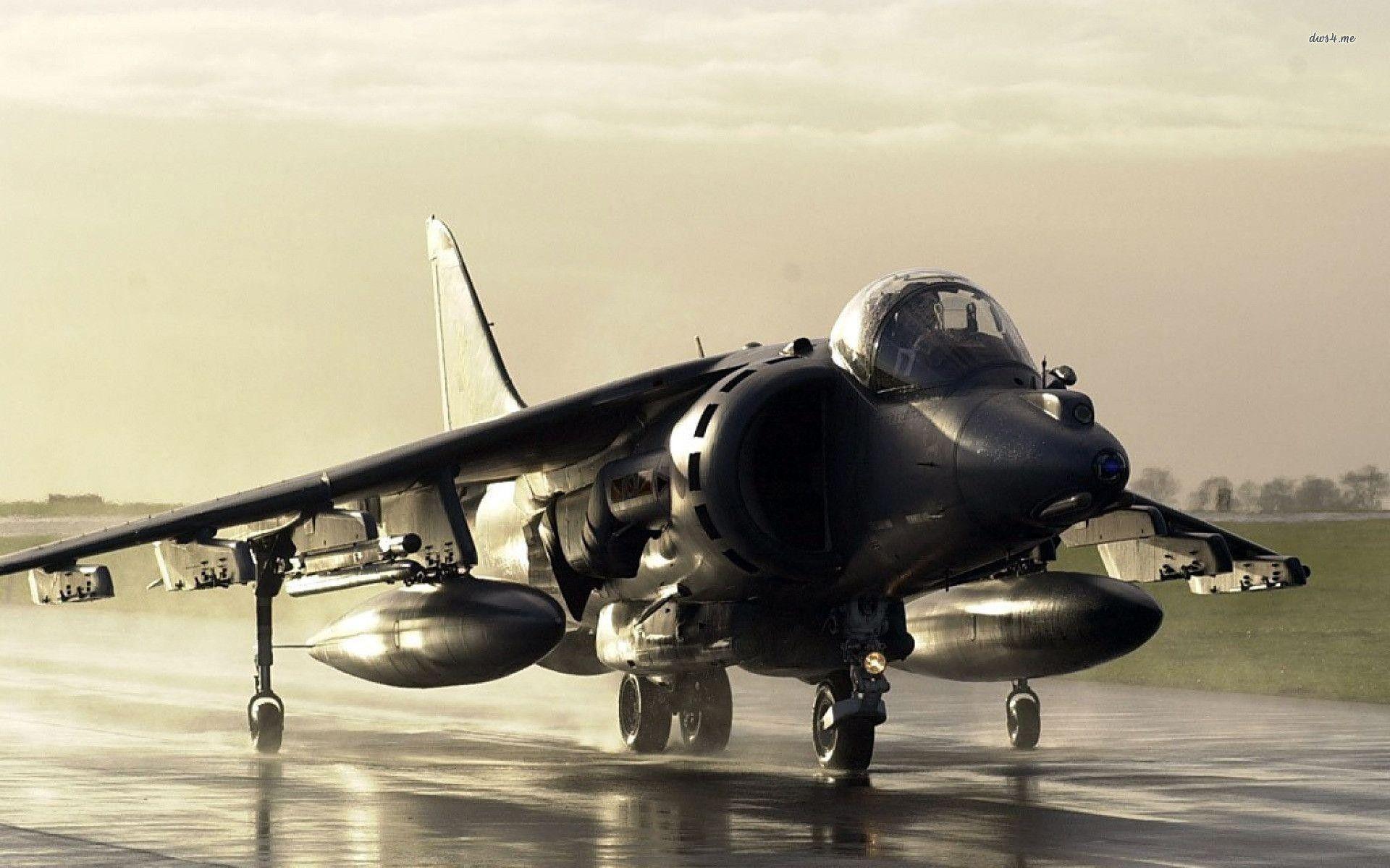 Harrier Wallpaper