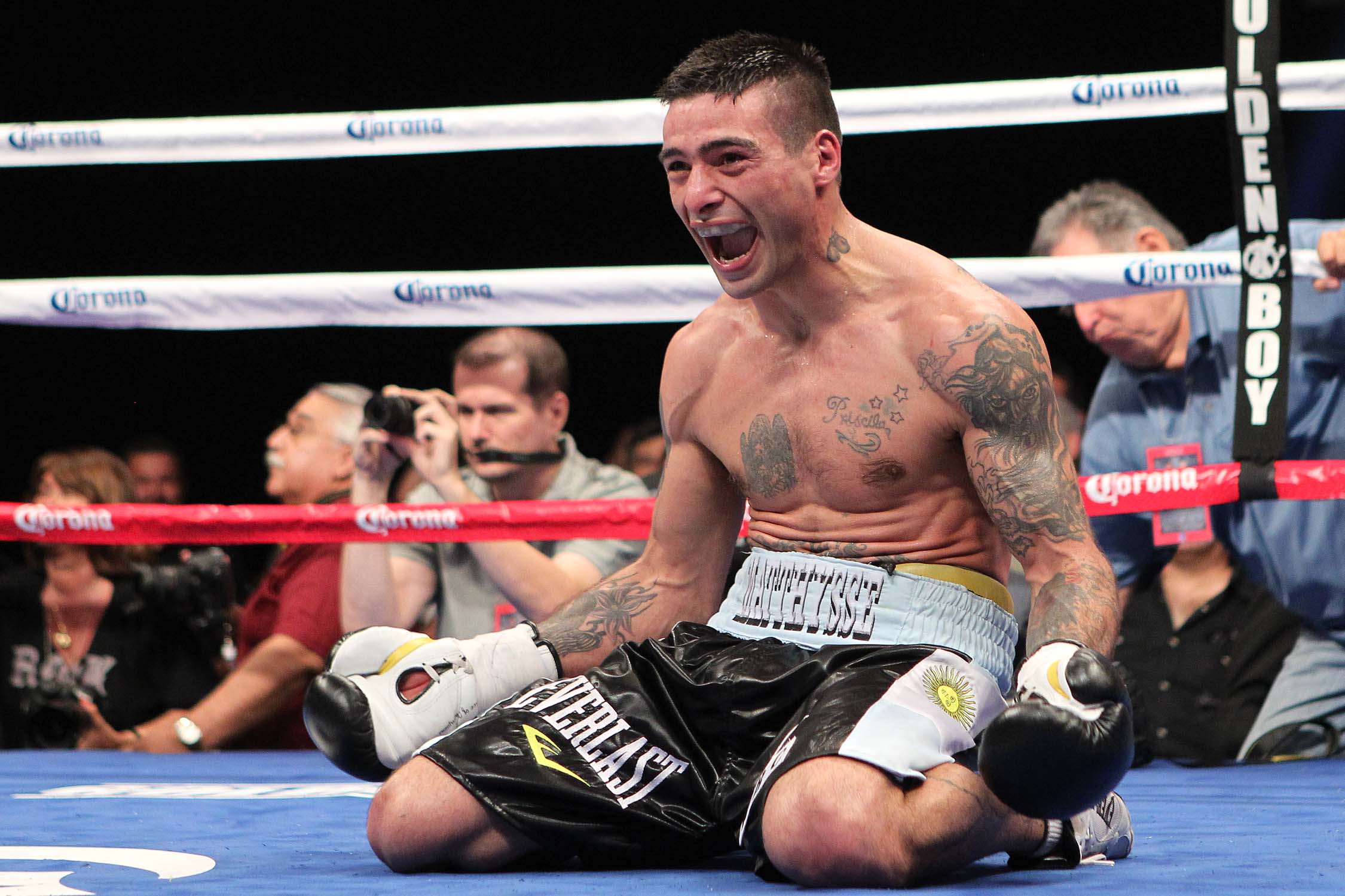 Проводников Matthysse