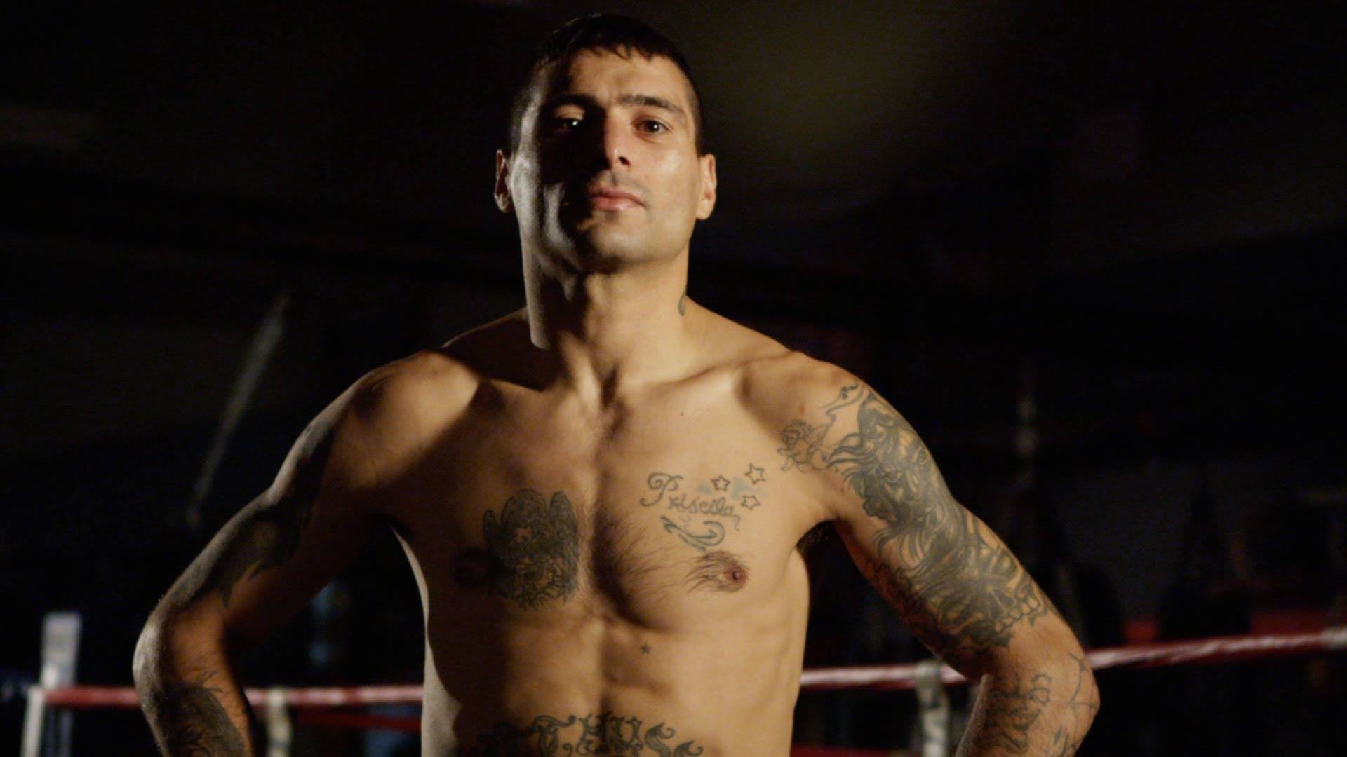 Проводников Matthysse