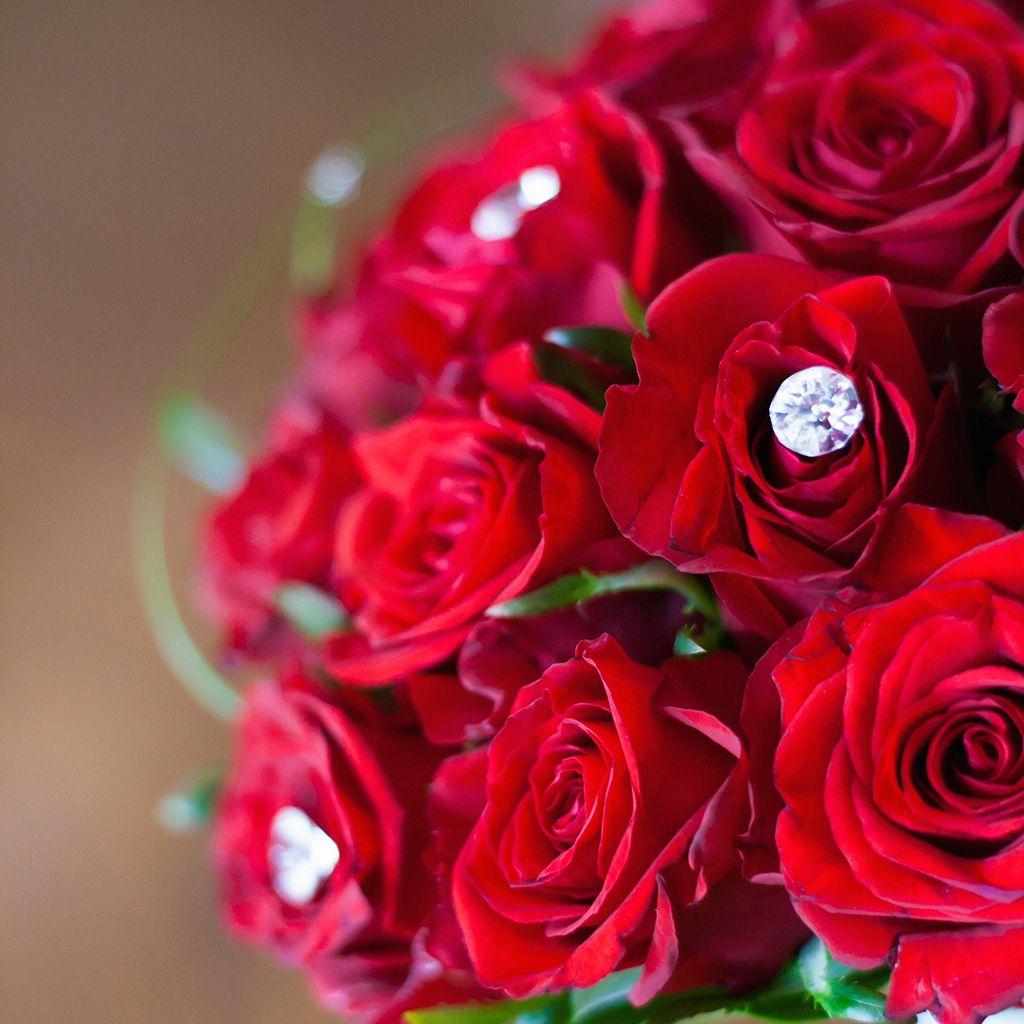 iPad wallpaper. flower with diamond red love propose
