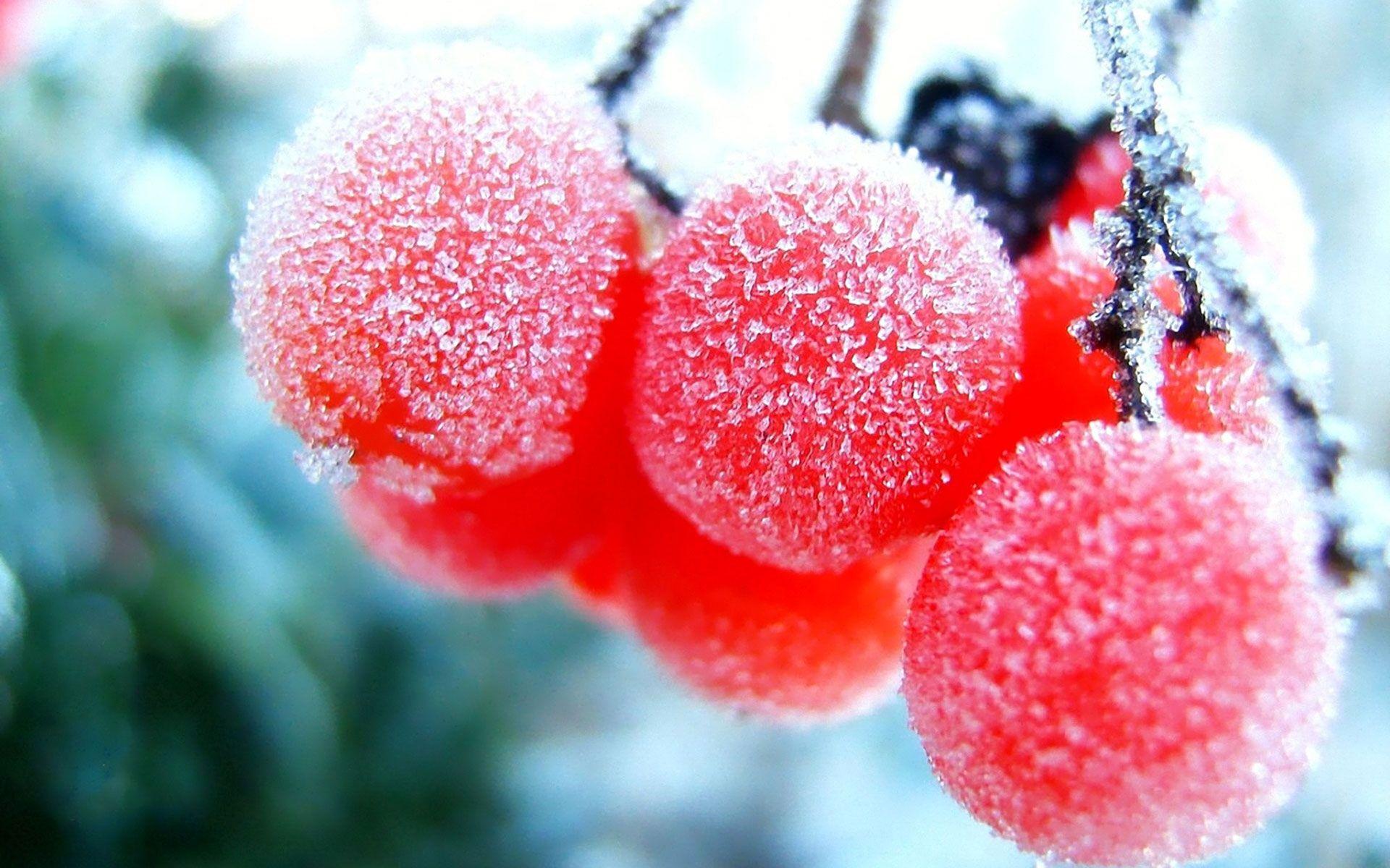 Winter Frozen Fruits Wallpaper HD Desktop Backgroung Picture