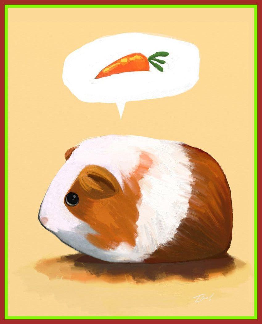 Best Drawn Guinea Pig Cute Cartoon Pencil And In Color Pics