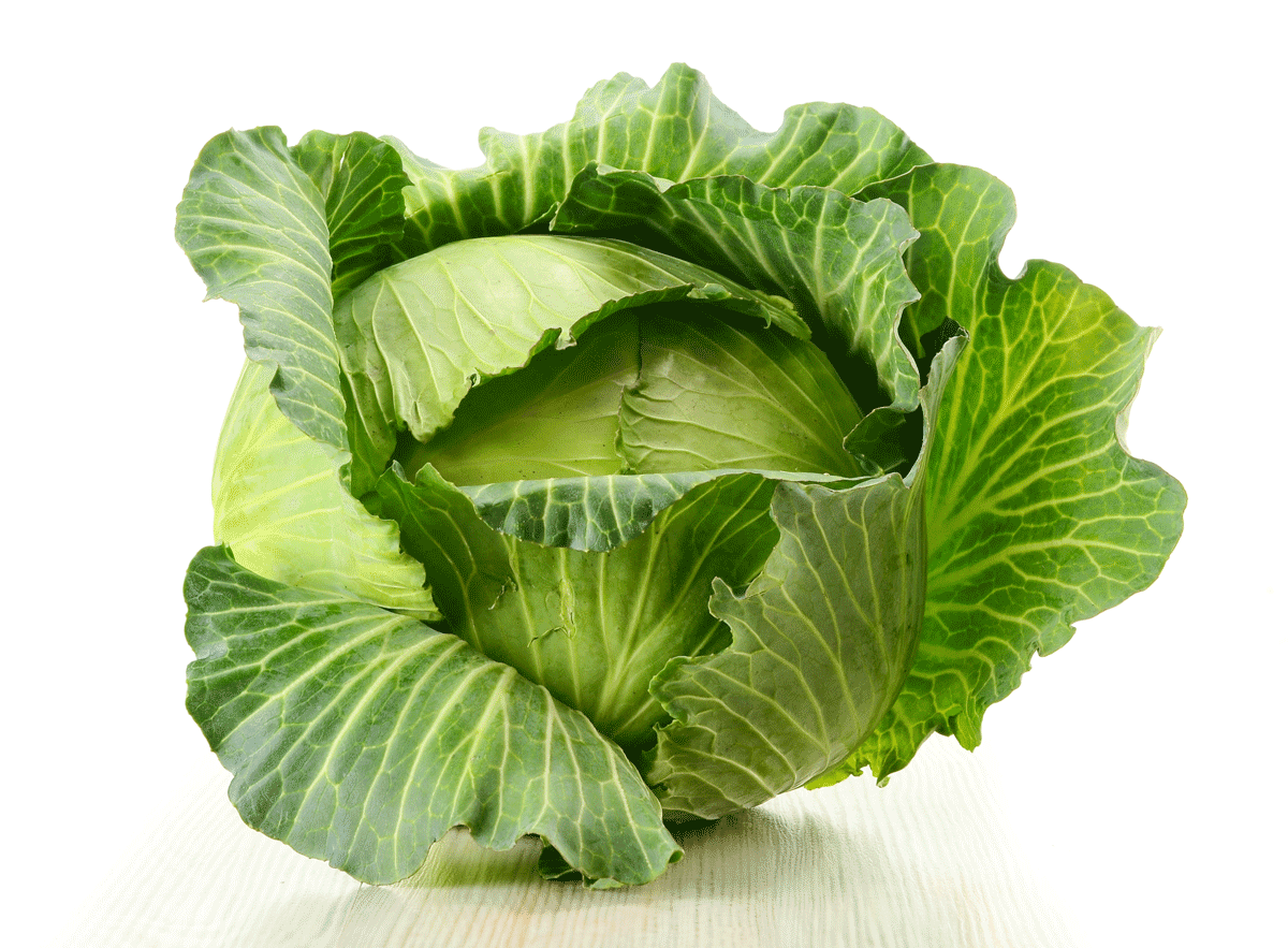 Fresh Cabbage Wallpaper, 43 Fresh Cabbage Android Compatible Pics