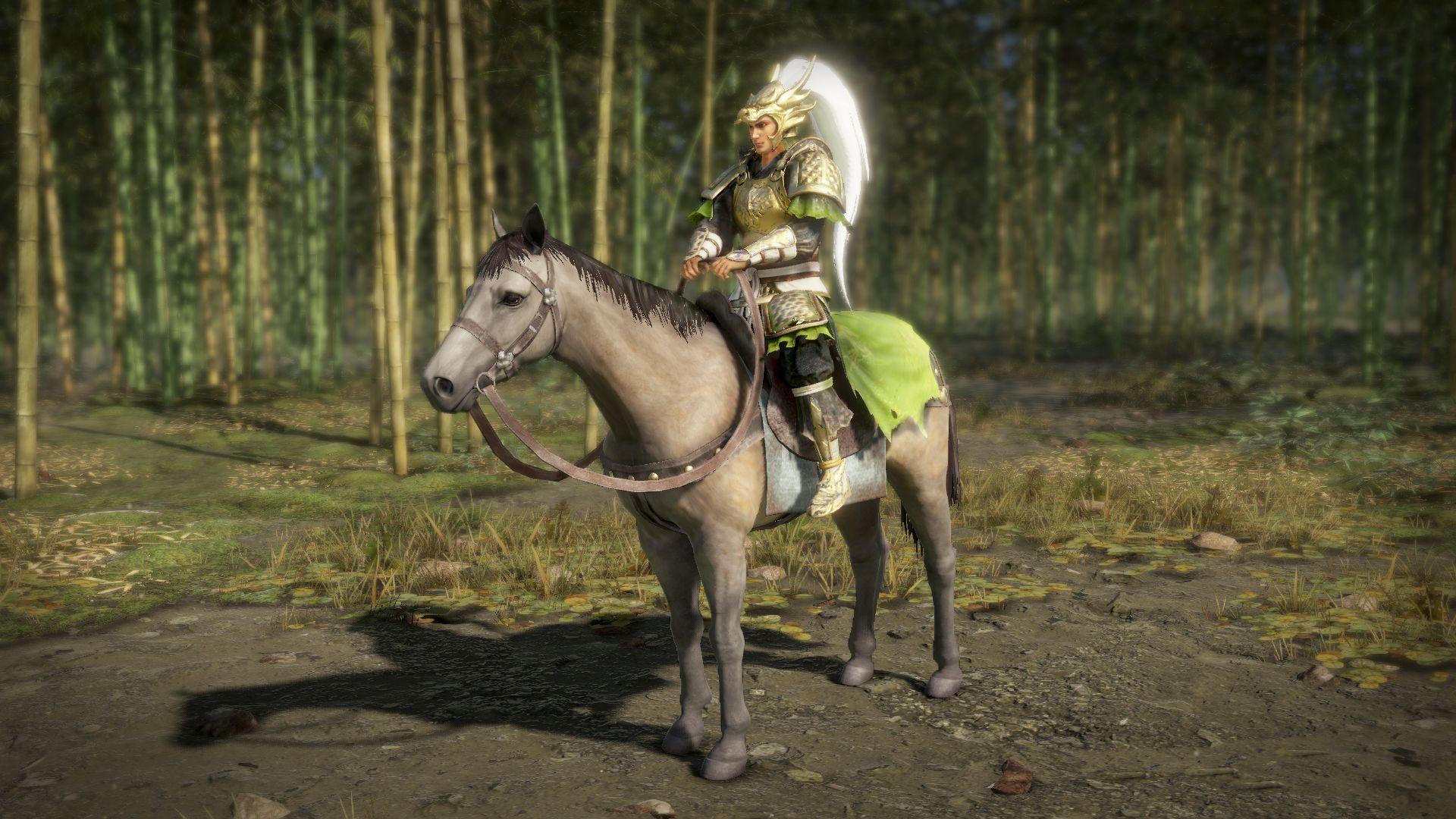 Dynasty Warriors 9: How To Get A New Horse