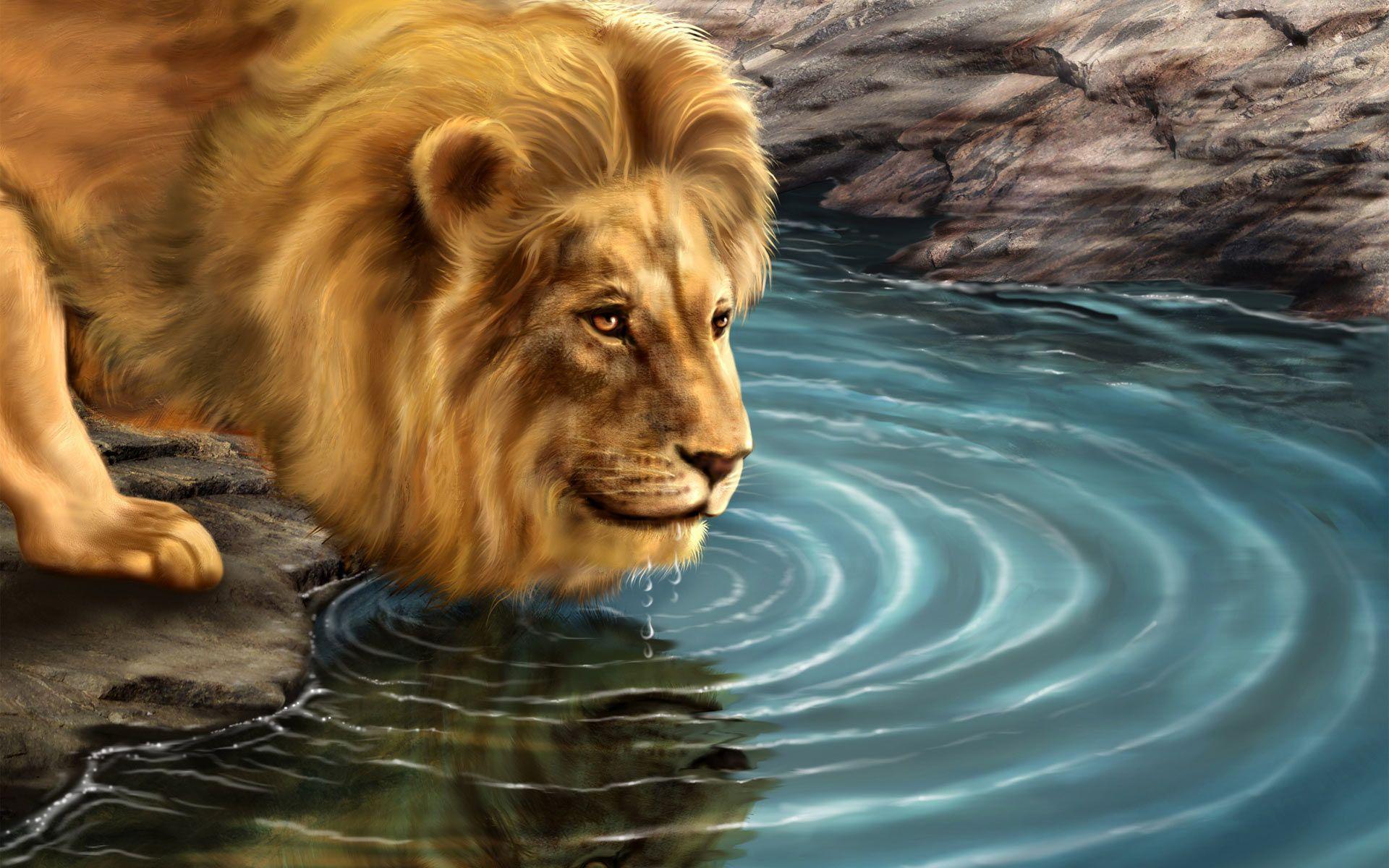 3d lion wallpapers free download