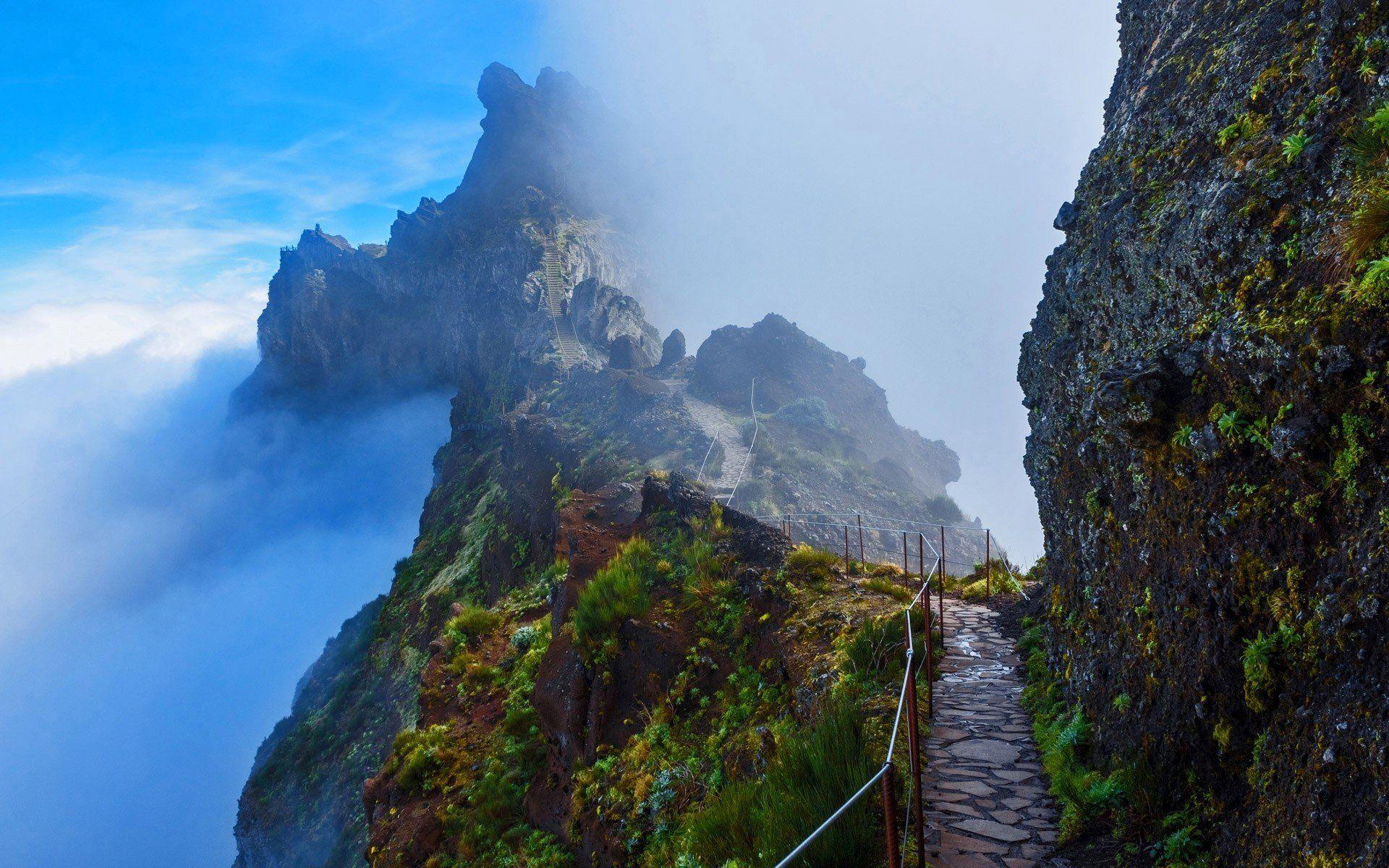 Madeira HD Wallpaper and Background Image