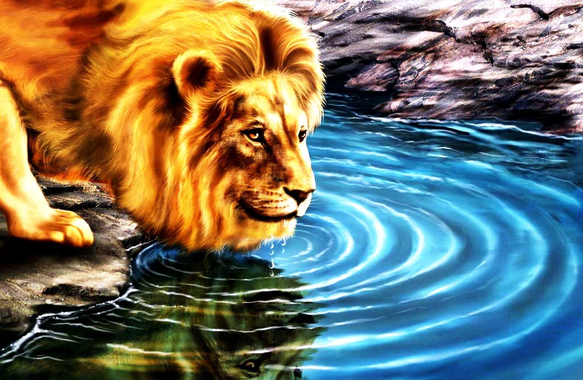 3D Lion Wallpapers Wallpaper Cave