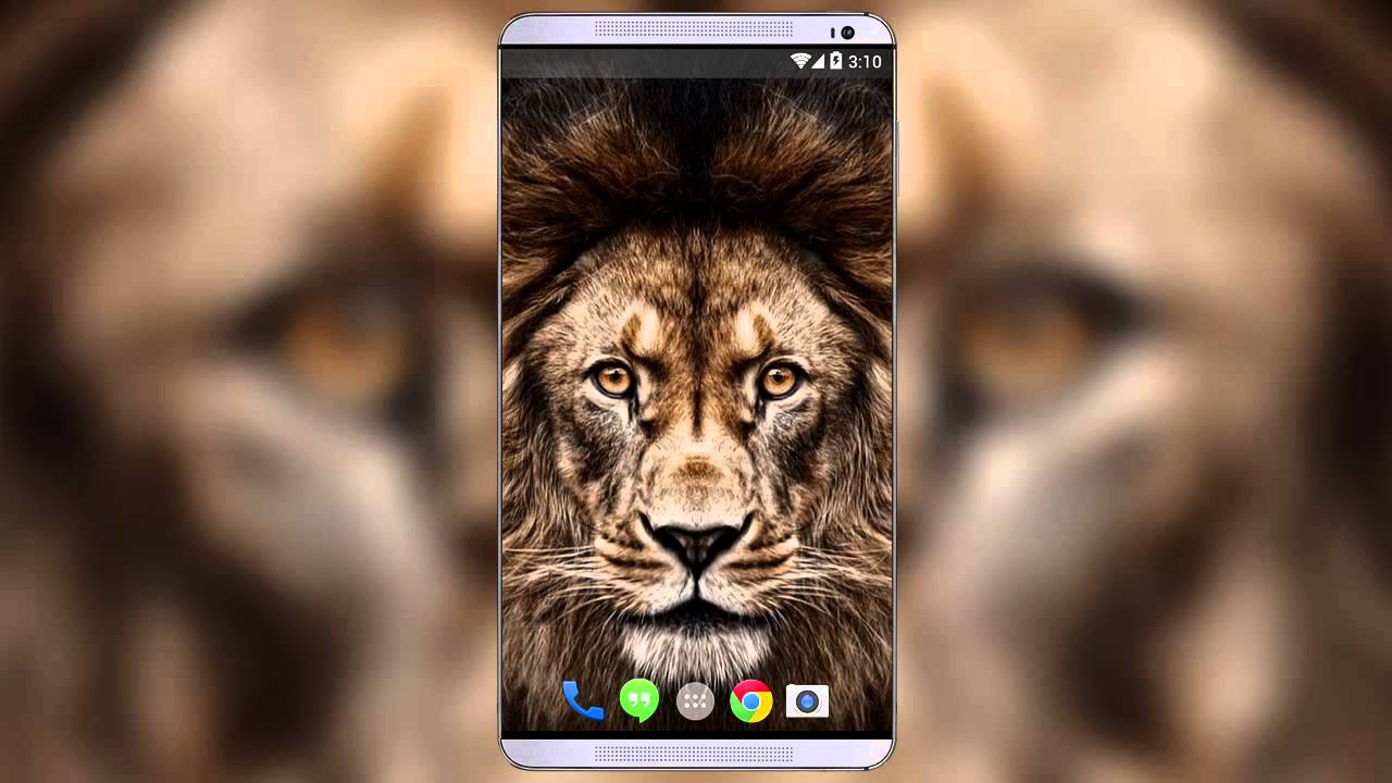 3D Lion Live Wallpaper