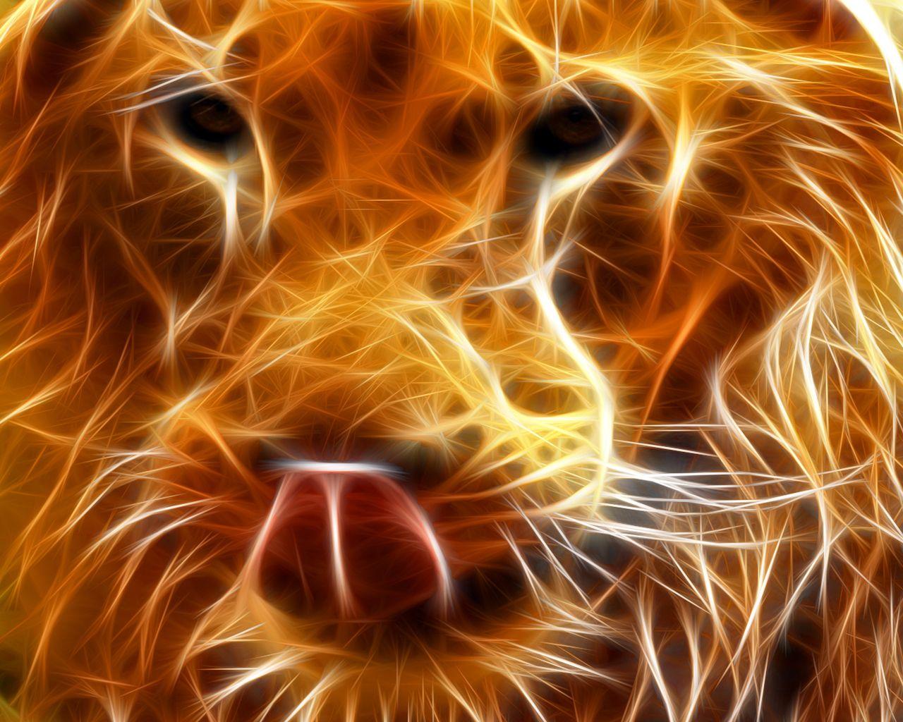 Lion Fire Wallpaper HD WallpaperD & Abstract Wallpaper