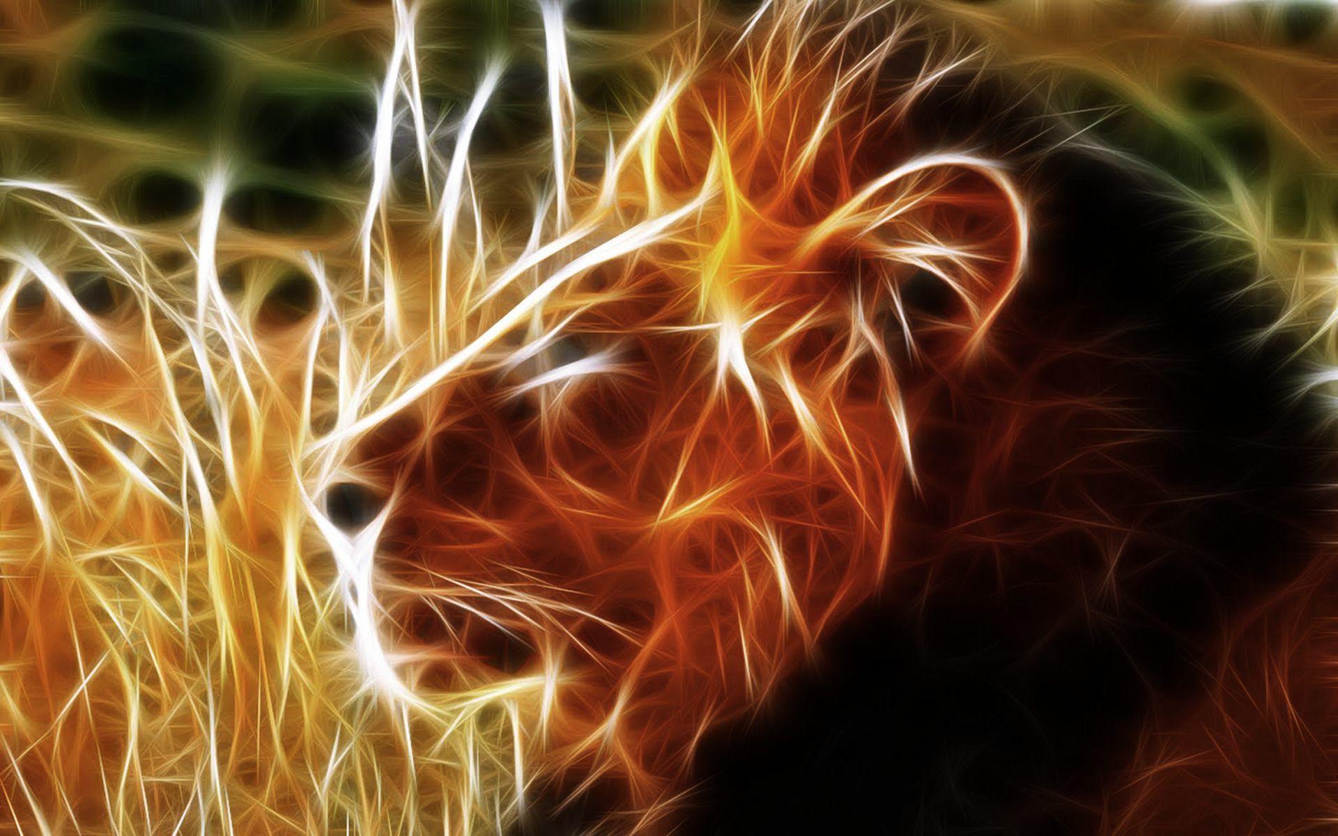 HD Wallpaper Lion