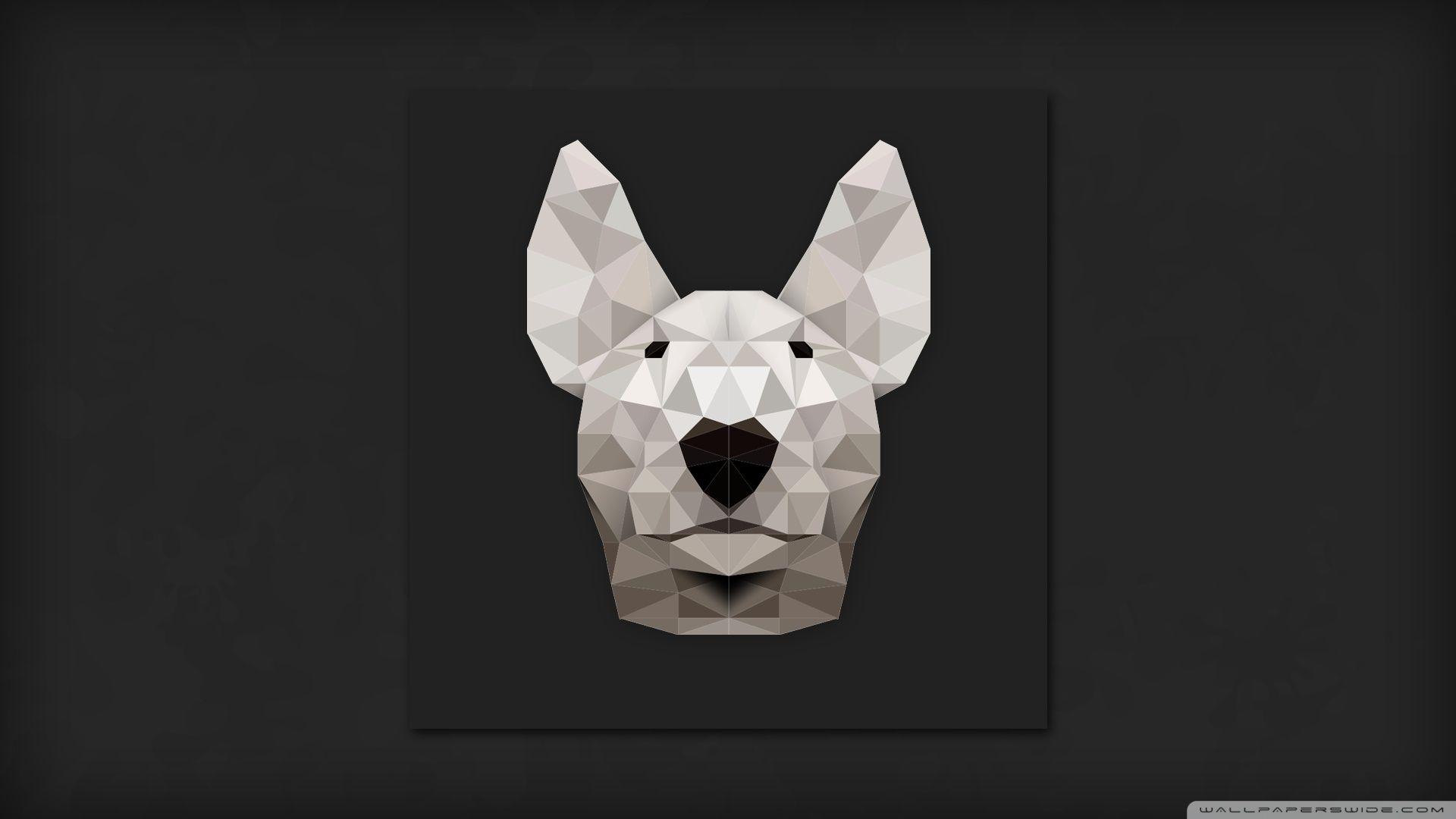 White BullTerrier ❤ 4K HD Desktop Wallpaper for 4K Ultra HD TV