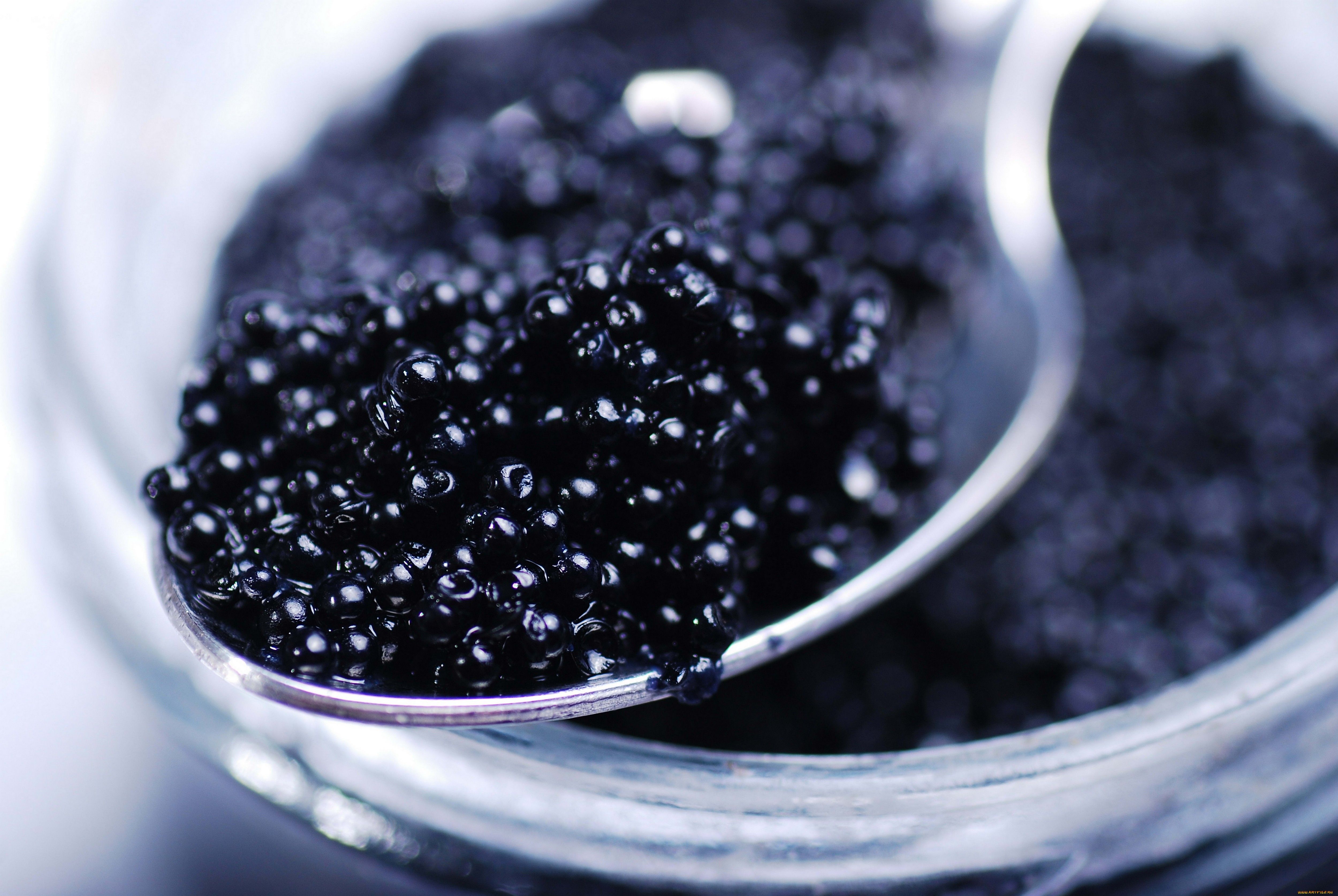 Caviar Wallpaper 2 X 3348