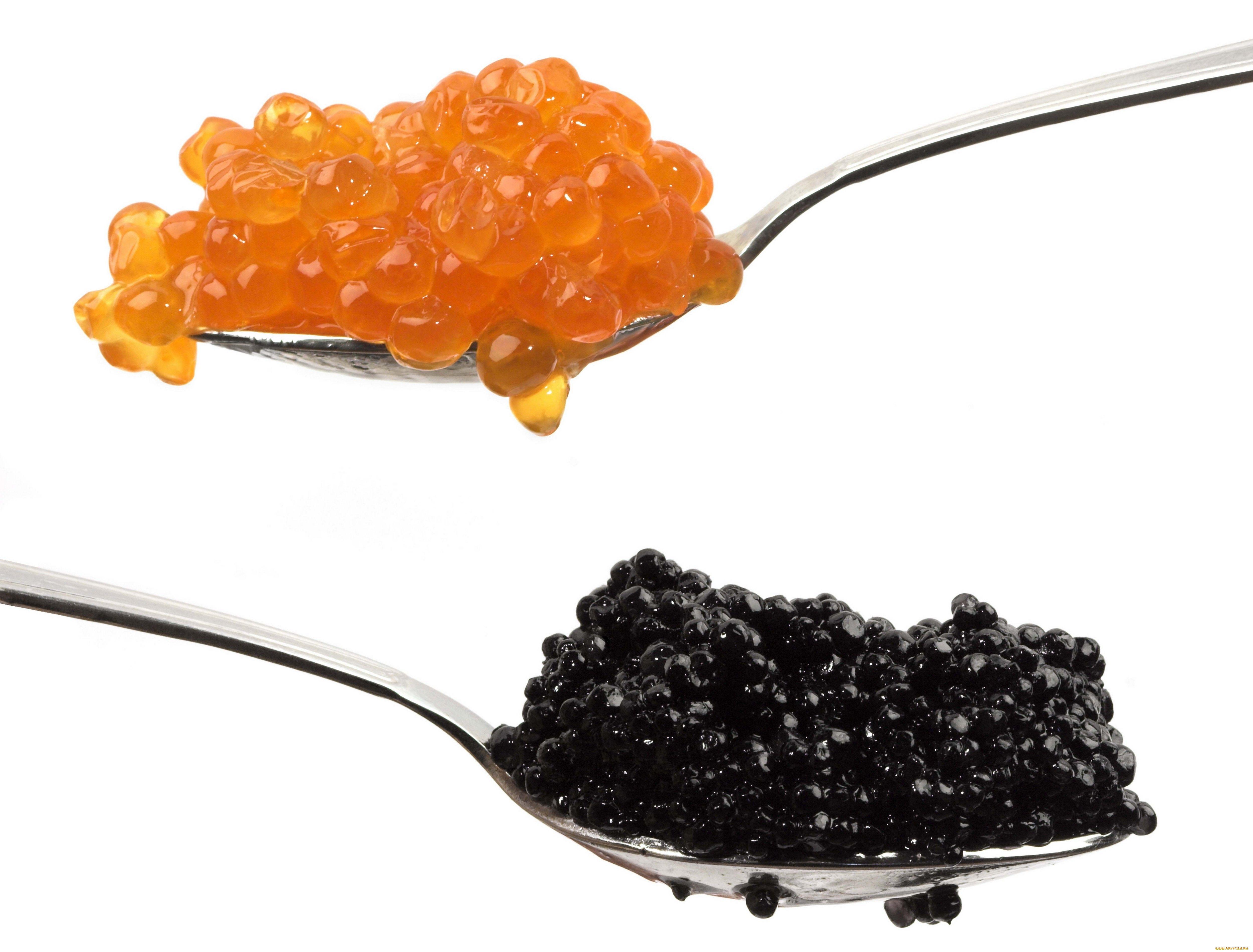 Caviar Wallpapers - Wallpaper Cave