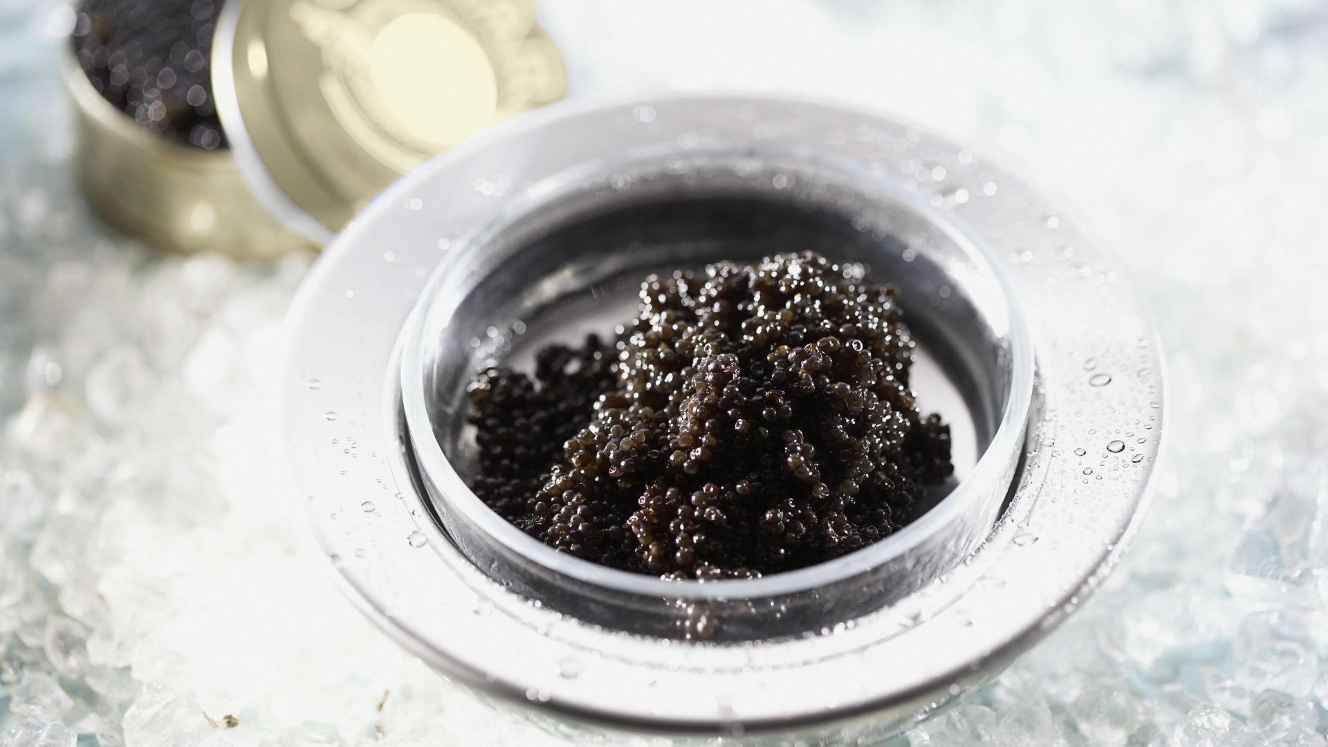 Download Wallpaper 1920x1080 caviar, plate, black, bank, delicacy