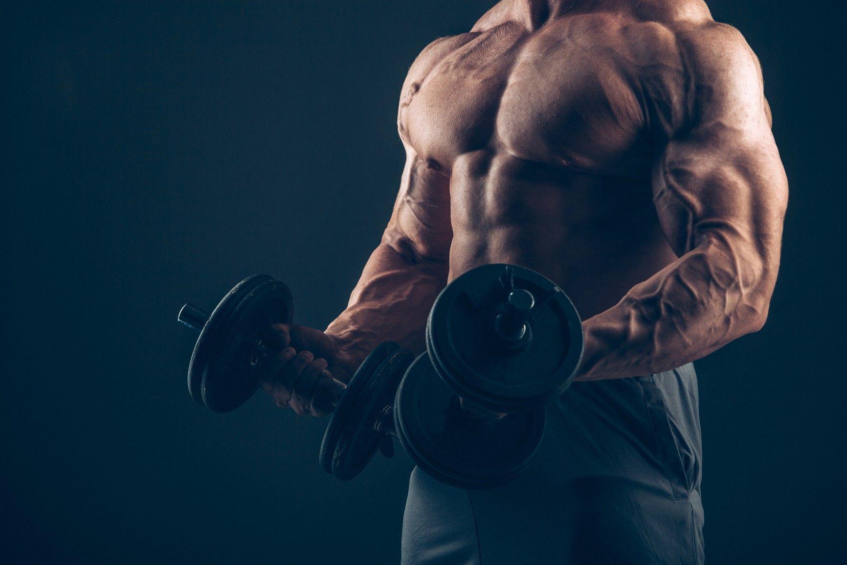 10 Best Biceps in the History of Bodybuilding roelly winklaar HD wallpaper   Pxfuel