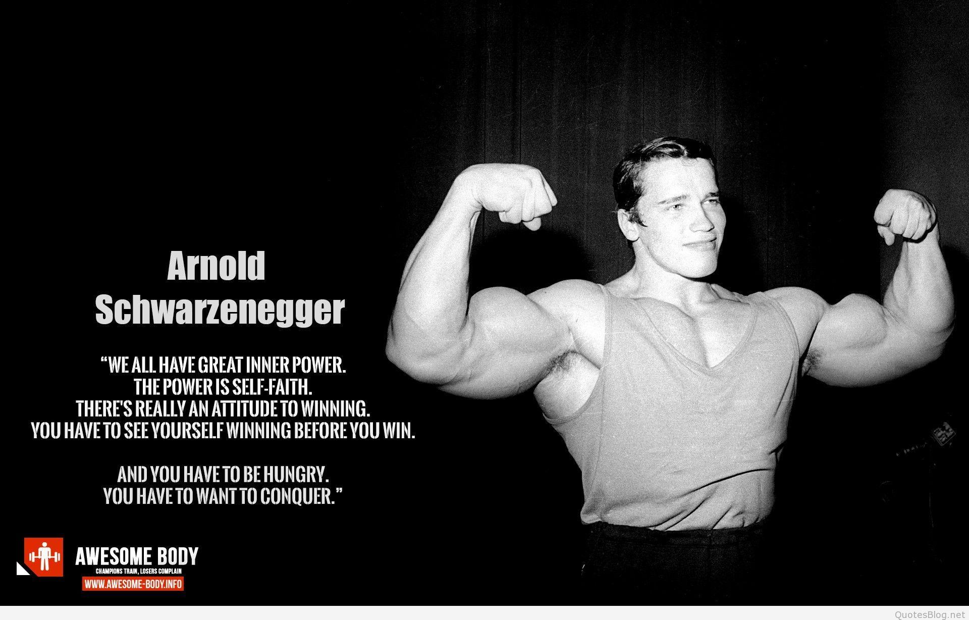 Arnold Schwarzenegger Wallpaper 12 X 1228