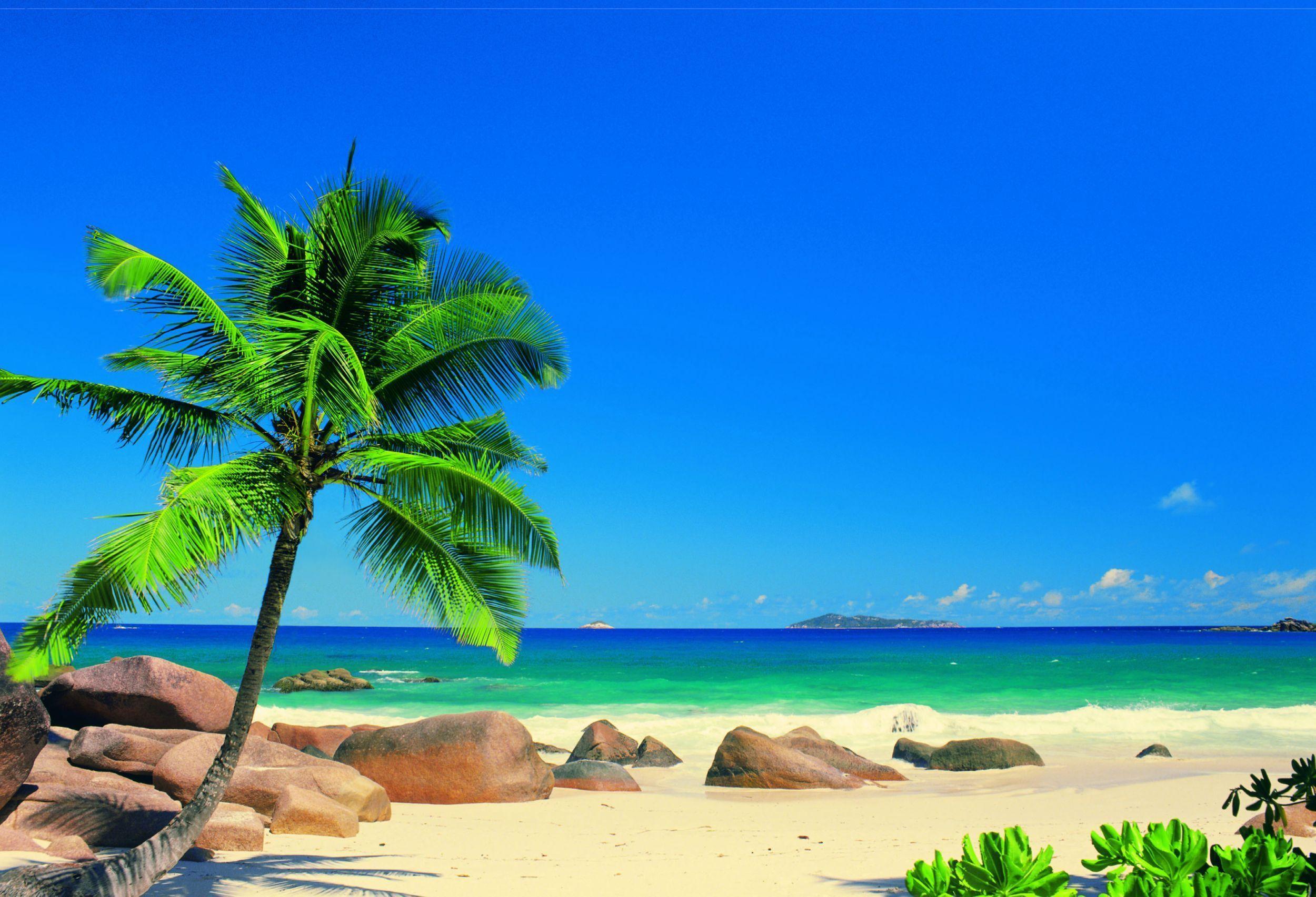 Download These 42 High Res Caribbean Wallpaper Background Here For Free