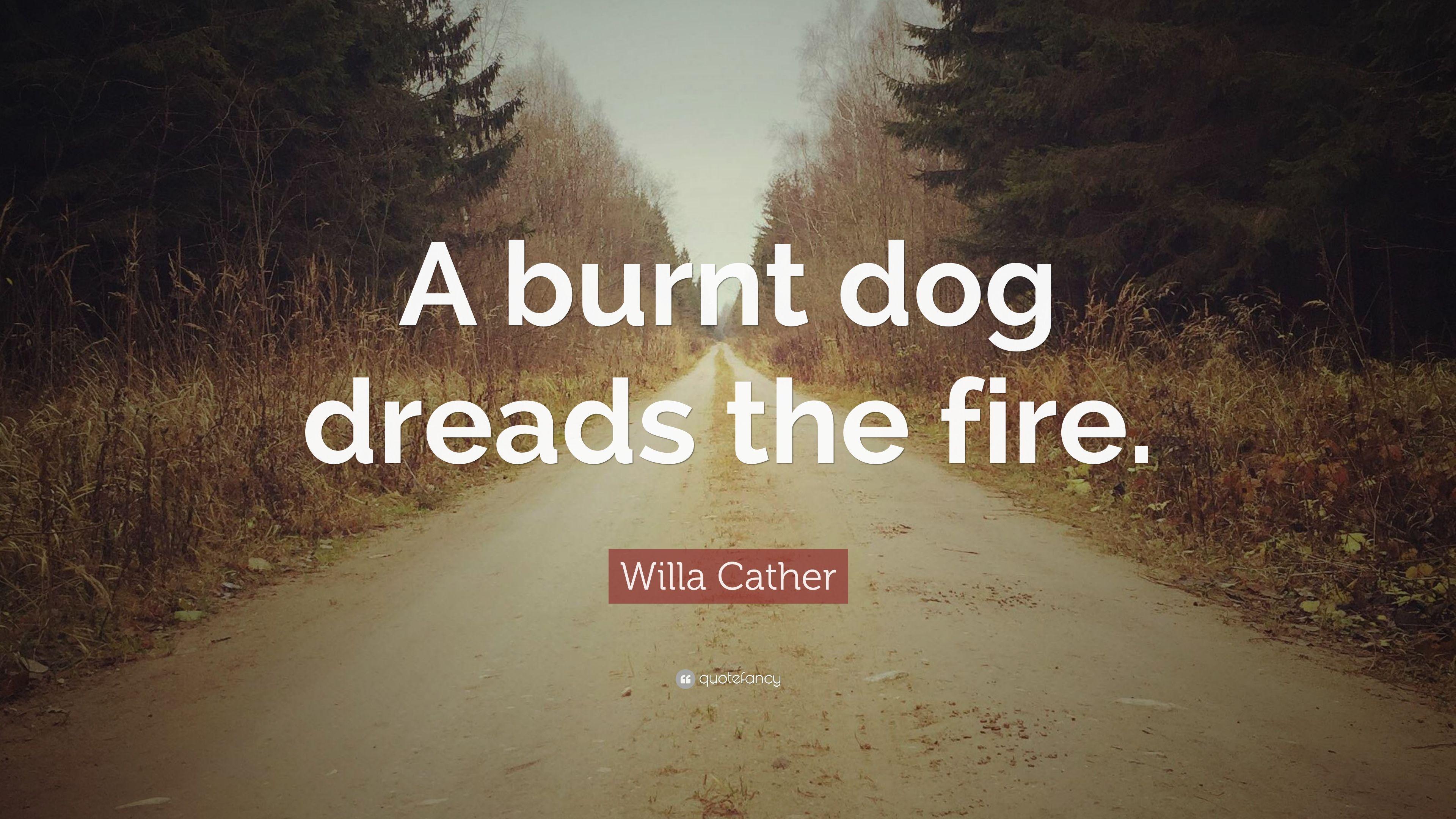 Willa Cather Quote: “A burnt dog dreads the fire.” 7 wallpaper