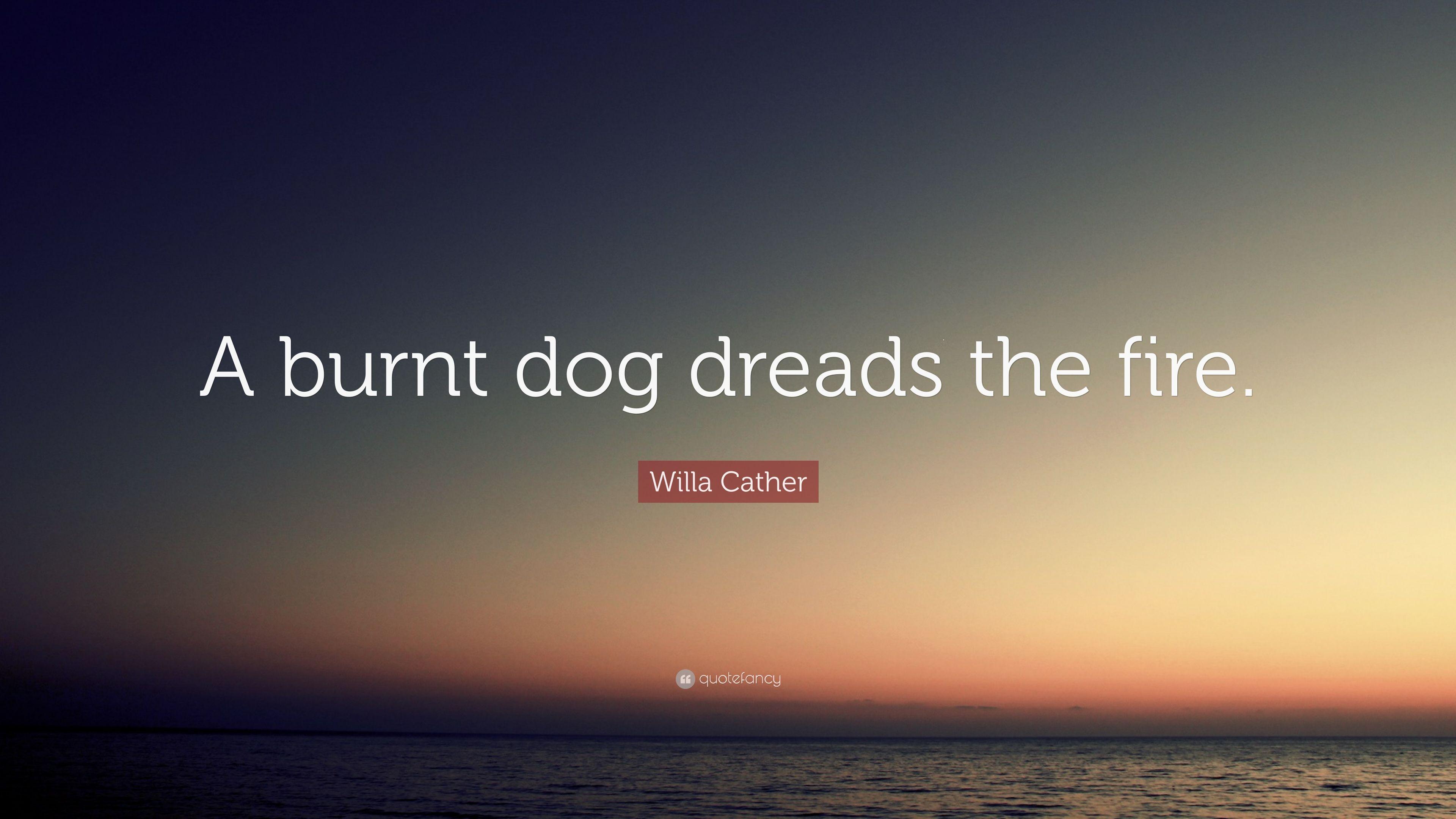 Willa Cather Quote: “A burnt dog dreads the fire.” 7 wallpaper
