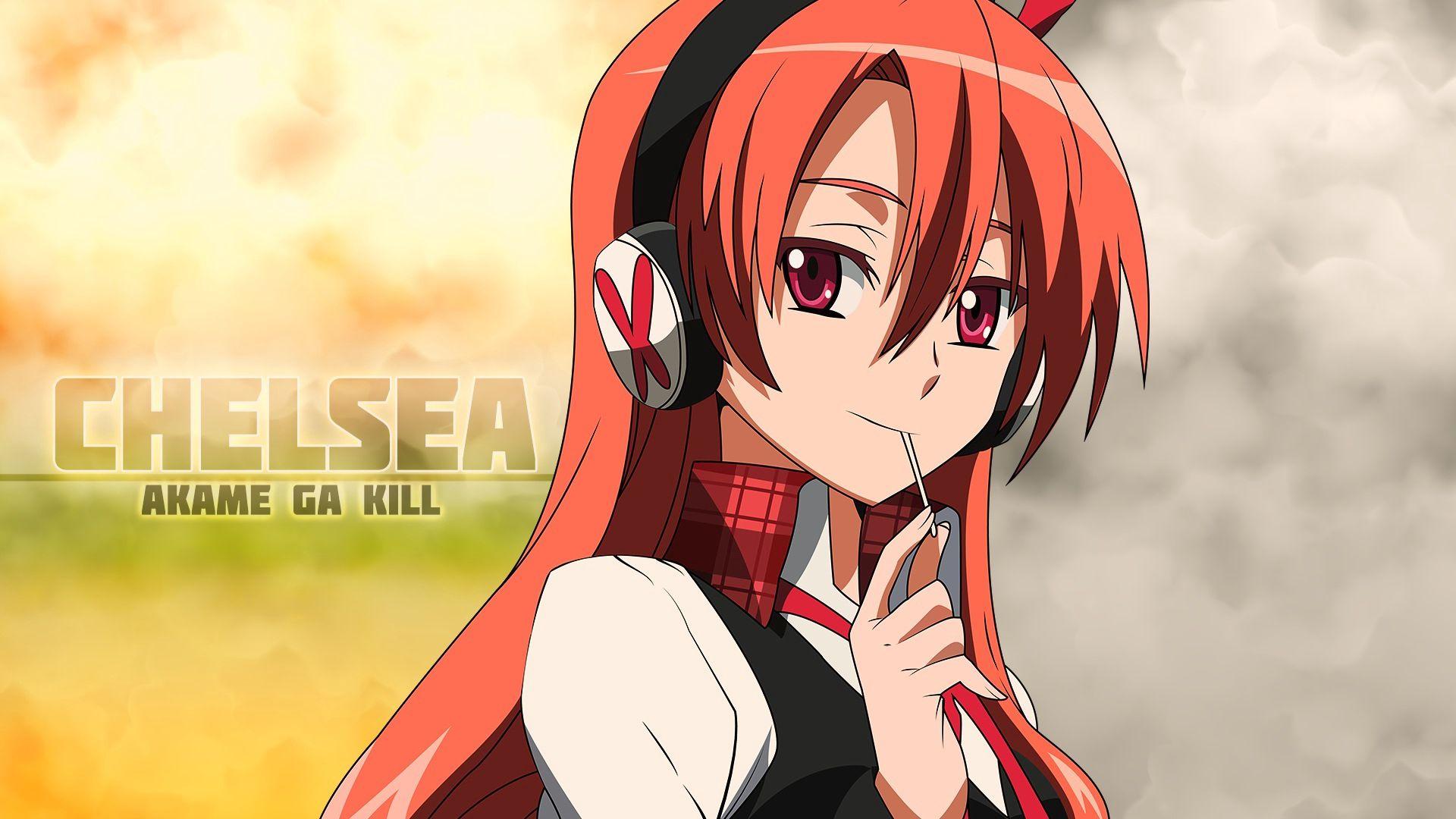 300+ Anime Akame ga Kill! HD Wallpapers and Backgrounds