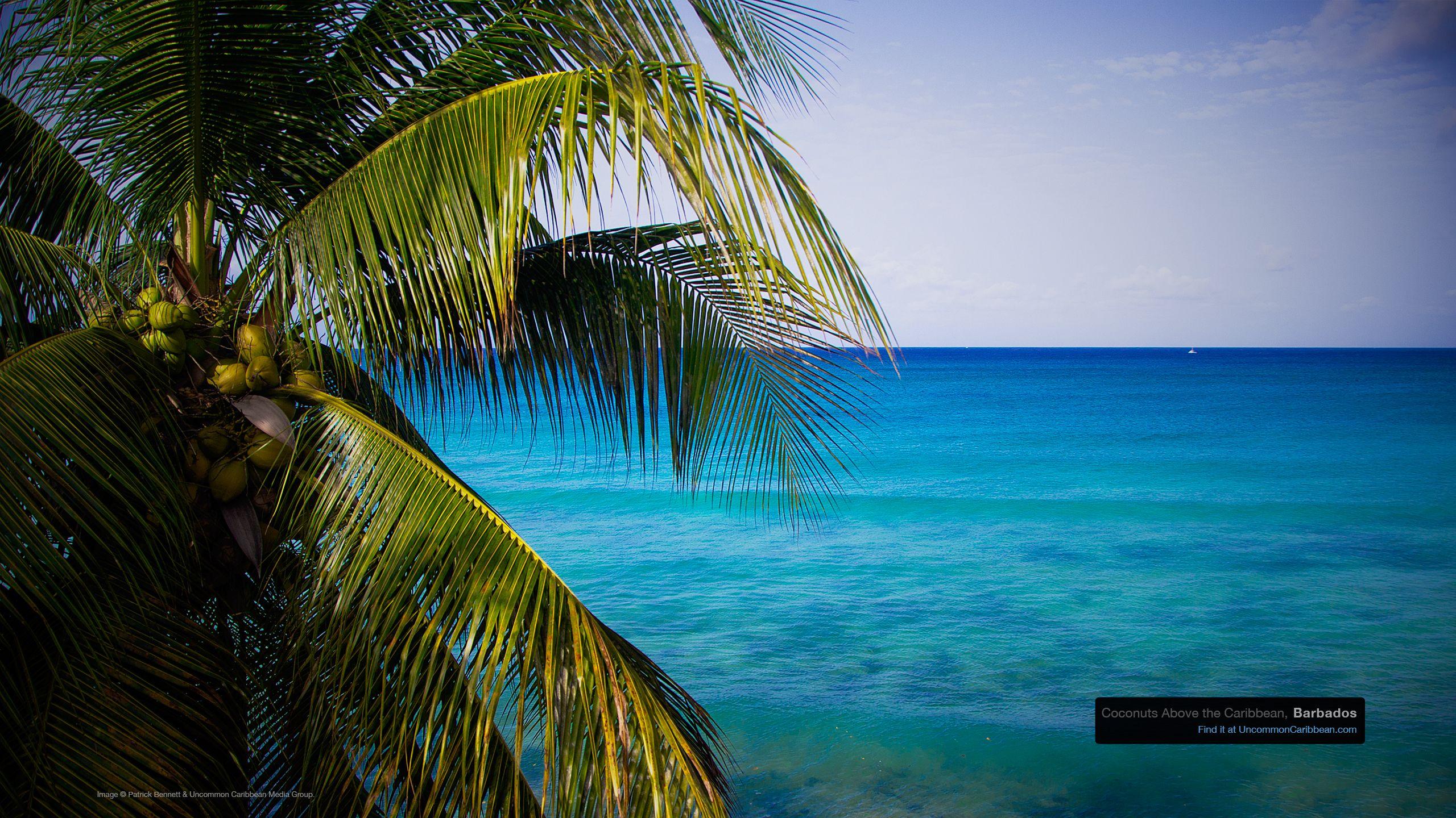 Download our Best Caribbean Desktop Wallpaper