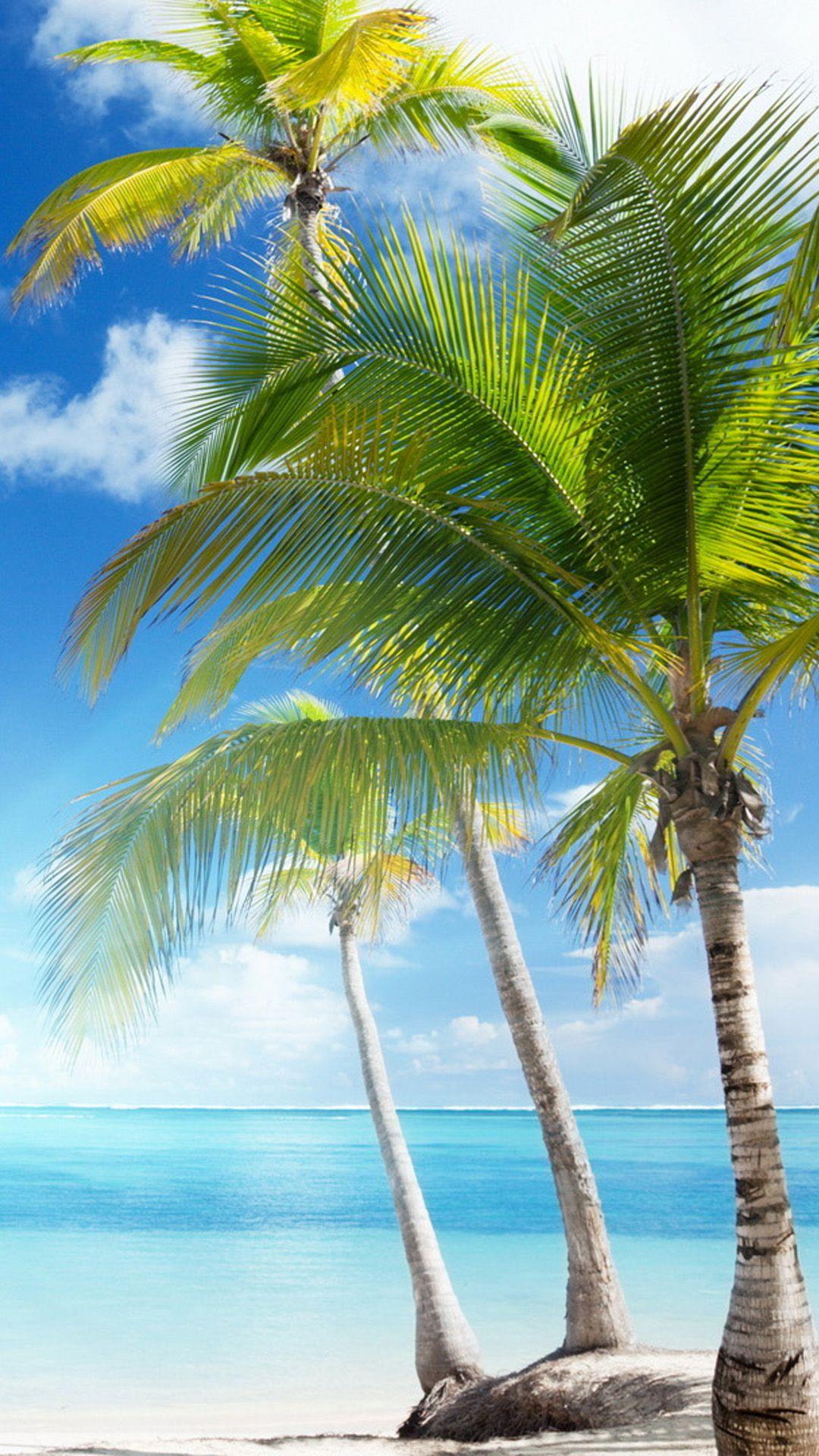 Caribbean sea and coconut palms Android wallpaper HD