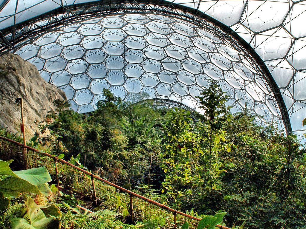 Eden Project Trip