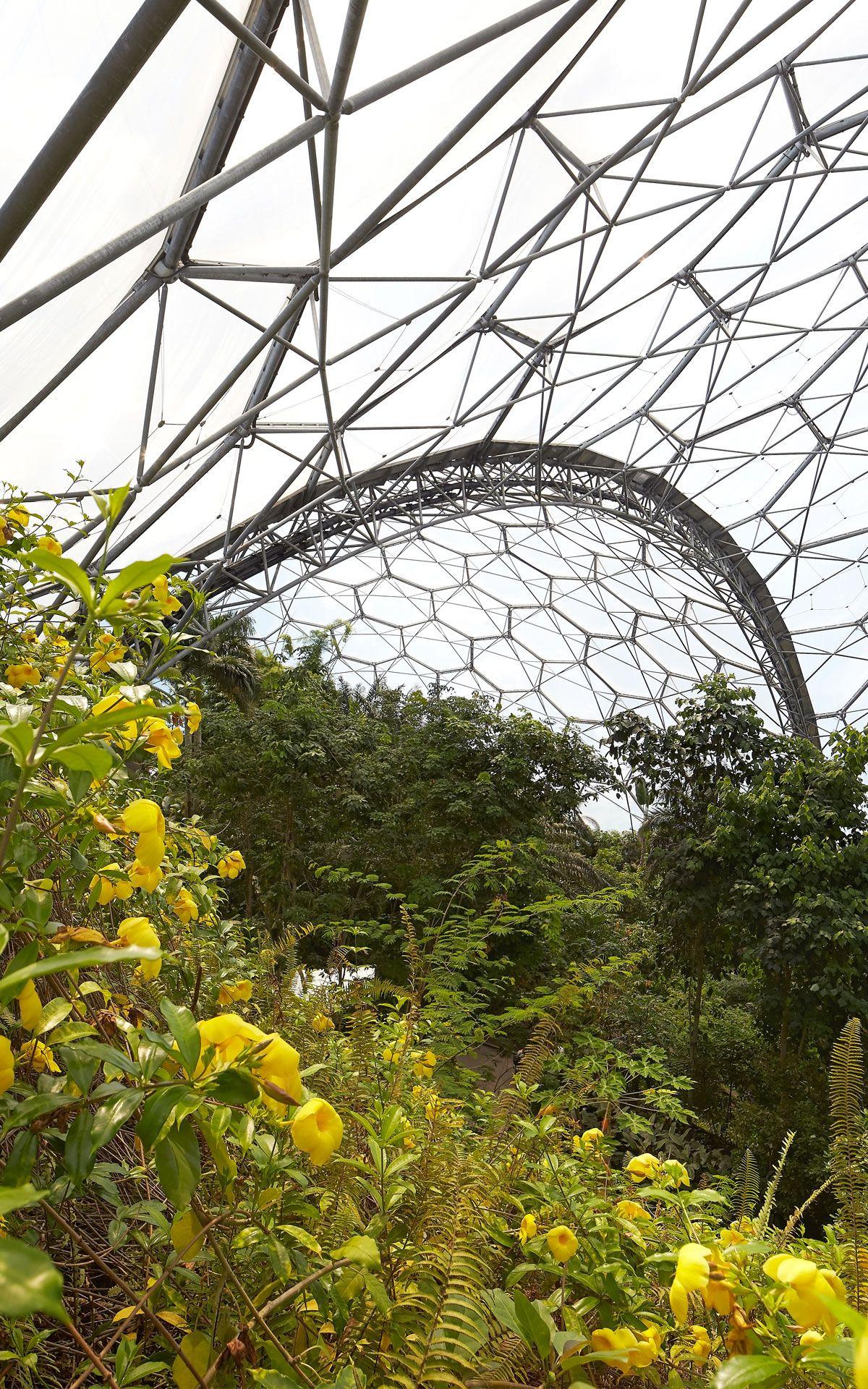 Free Eden Project wallpaper and desktop background image downloads