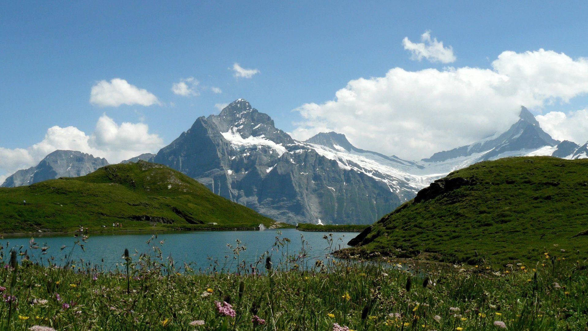 Alpine Tag wallpaper: Alpine Flower Sky Switzerland Clouds
