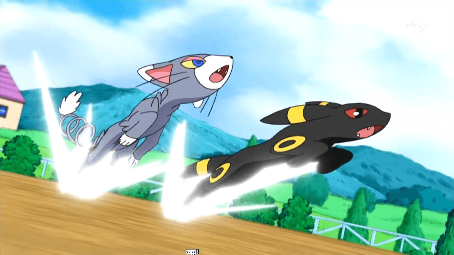 Glameow and Umbreon fight together. glameow. Pokémon